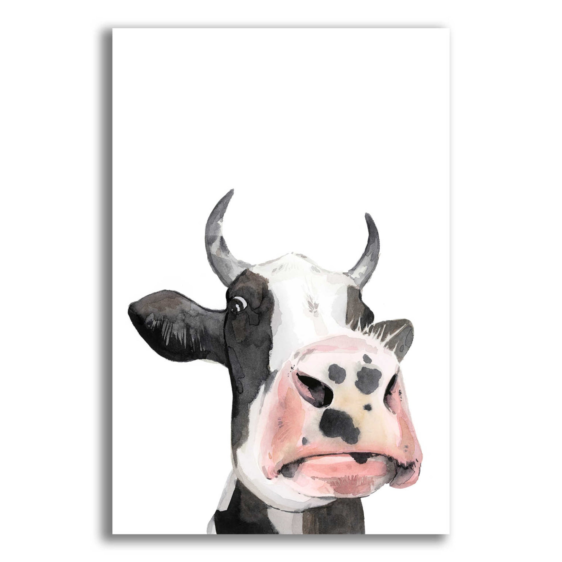 Epic Art 'Watercolor Cow Portrait I' by Grace Popp, Acrylic Glass Wall Art,16x24