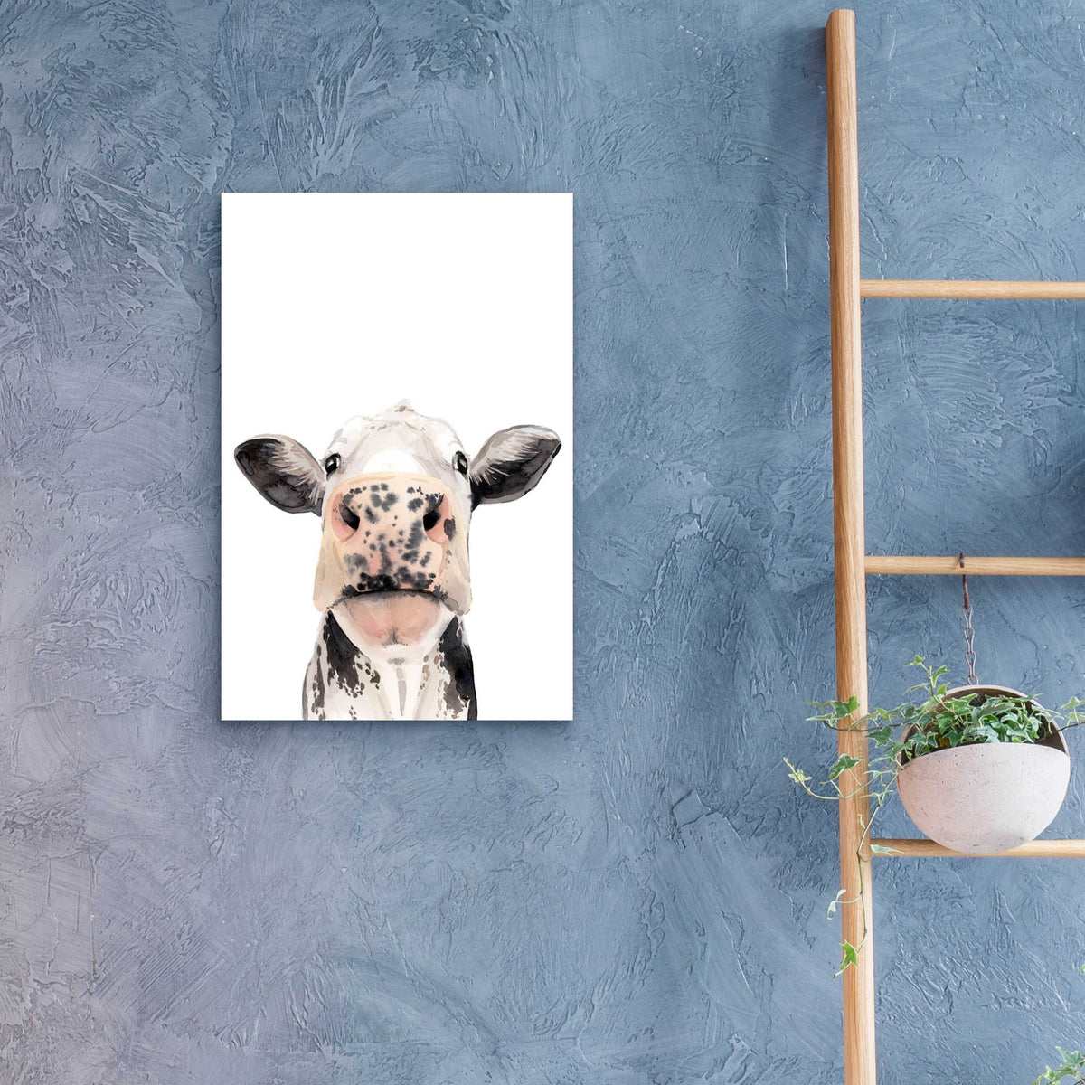 Epic Art 'Watercolor Cow Portrait II' by Grace Popp, Acrylic Glass Wall Art,16x24