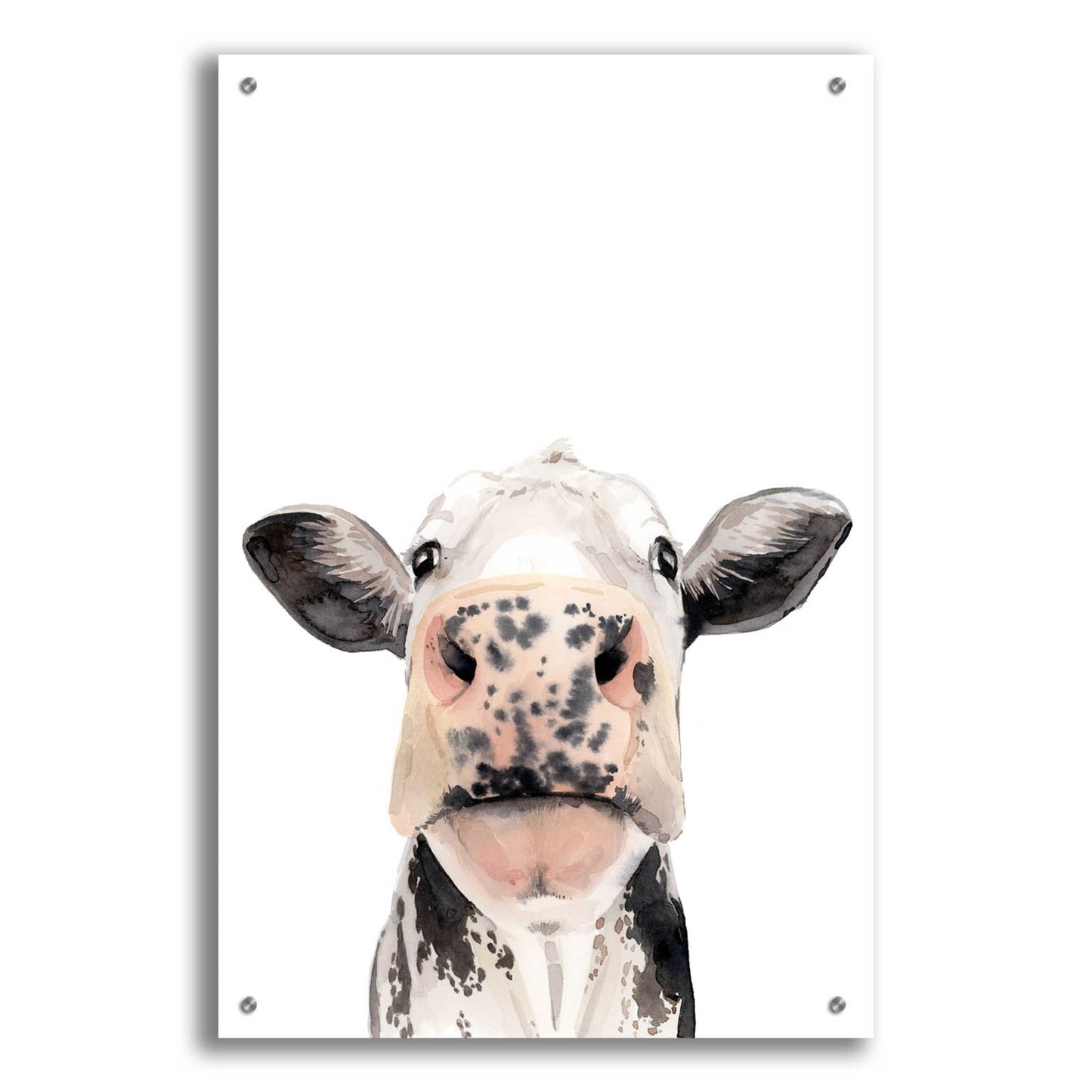 Epic Art 'Watercolor Cow Portrait II' by Grace Popp, Acrylic Glass Wall Art,24x36