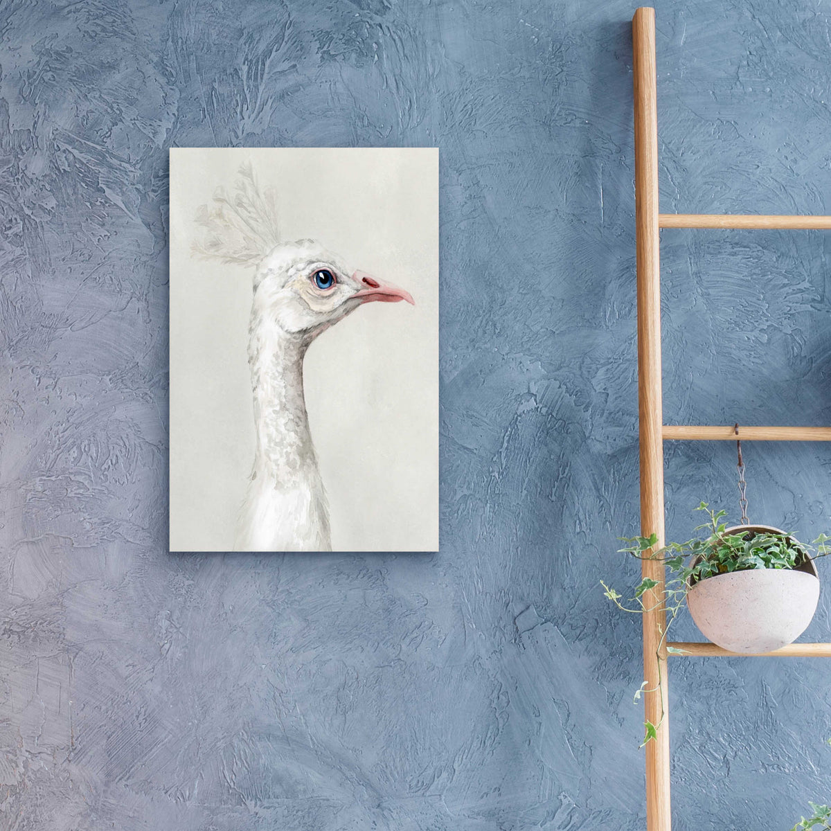Epic Art 'Alpine Peacock I' by Grace Popp, Acrylic Glass Wall Art,16x24