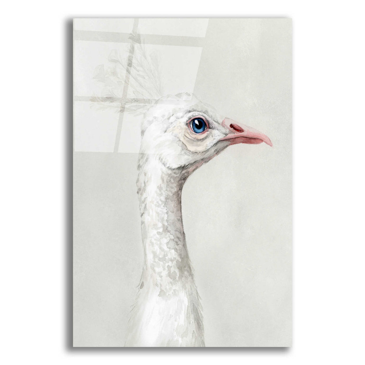 Epic Art 'Alpine Peacock I' by Grace Popp, Acrylic Glass Wall Art