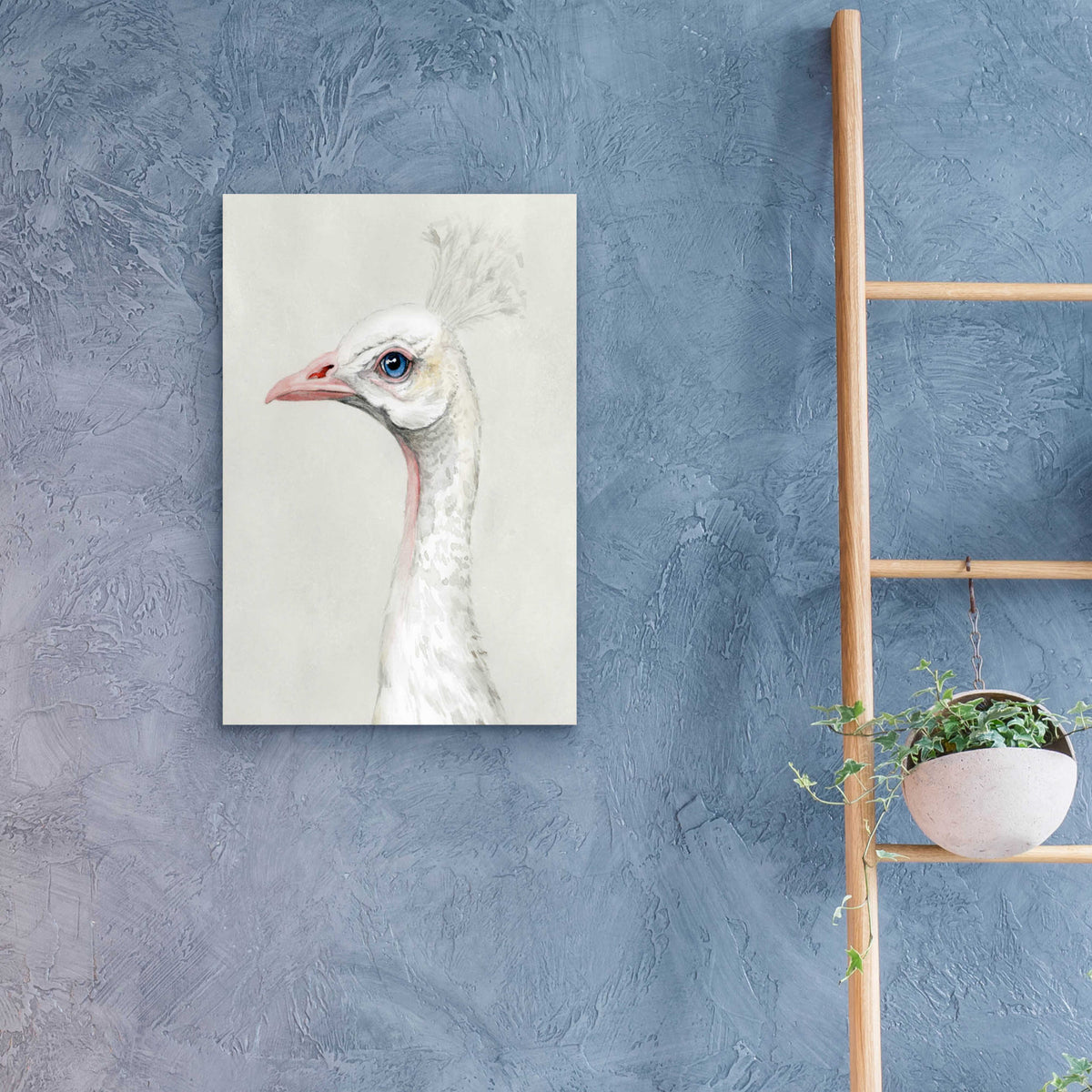 Epic Art 'Alpine Peacock II' by Grace Popp, Acrylic Glass Wall Art,16x24