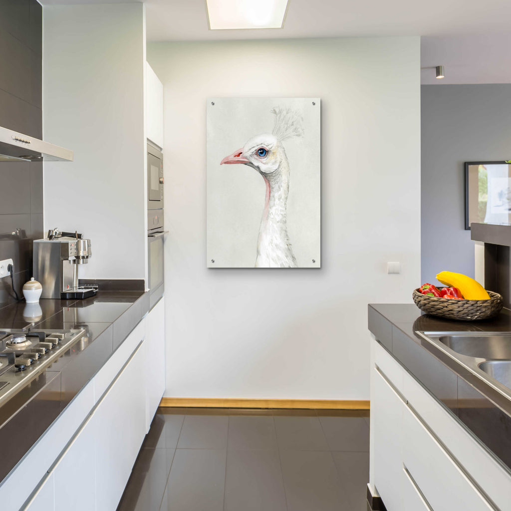 Epic Art 'Alpine Peacock II' by Grace Popp, Acrylic Glass Wall Art,24x36