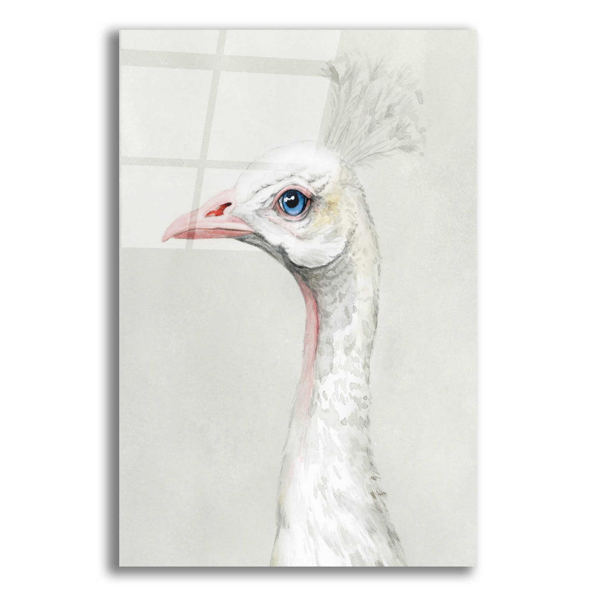 Epic Art 'Alpine Peacock II' by Grace Popp, Acrylic Glass Wall Art