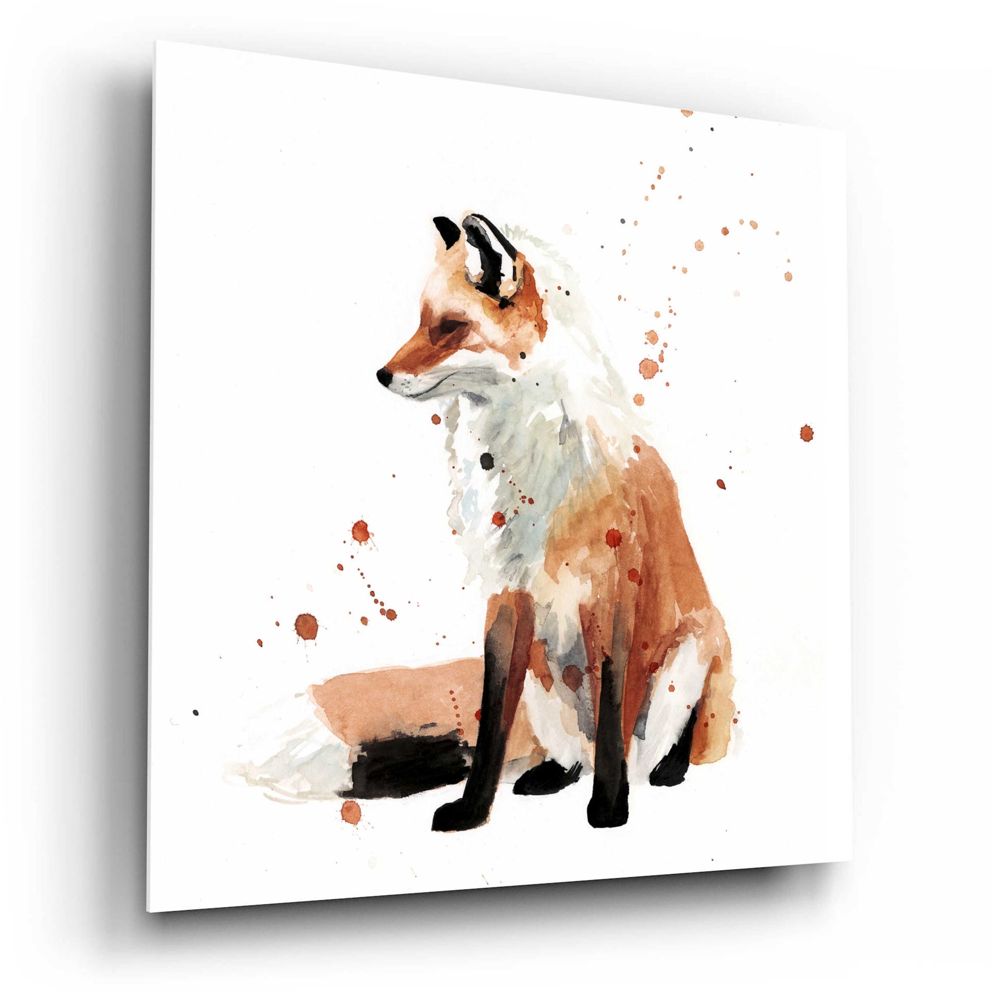 Epic Art 'Watercolor Fox I' by Victoria Barnes, Acrylic Glass Wall Art,12x12