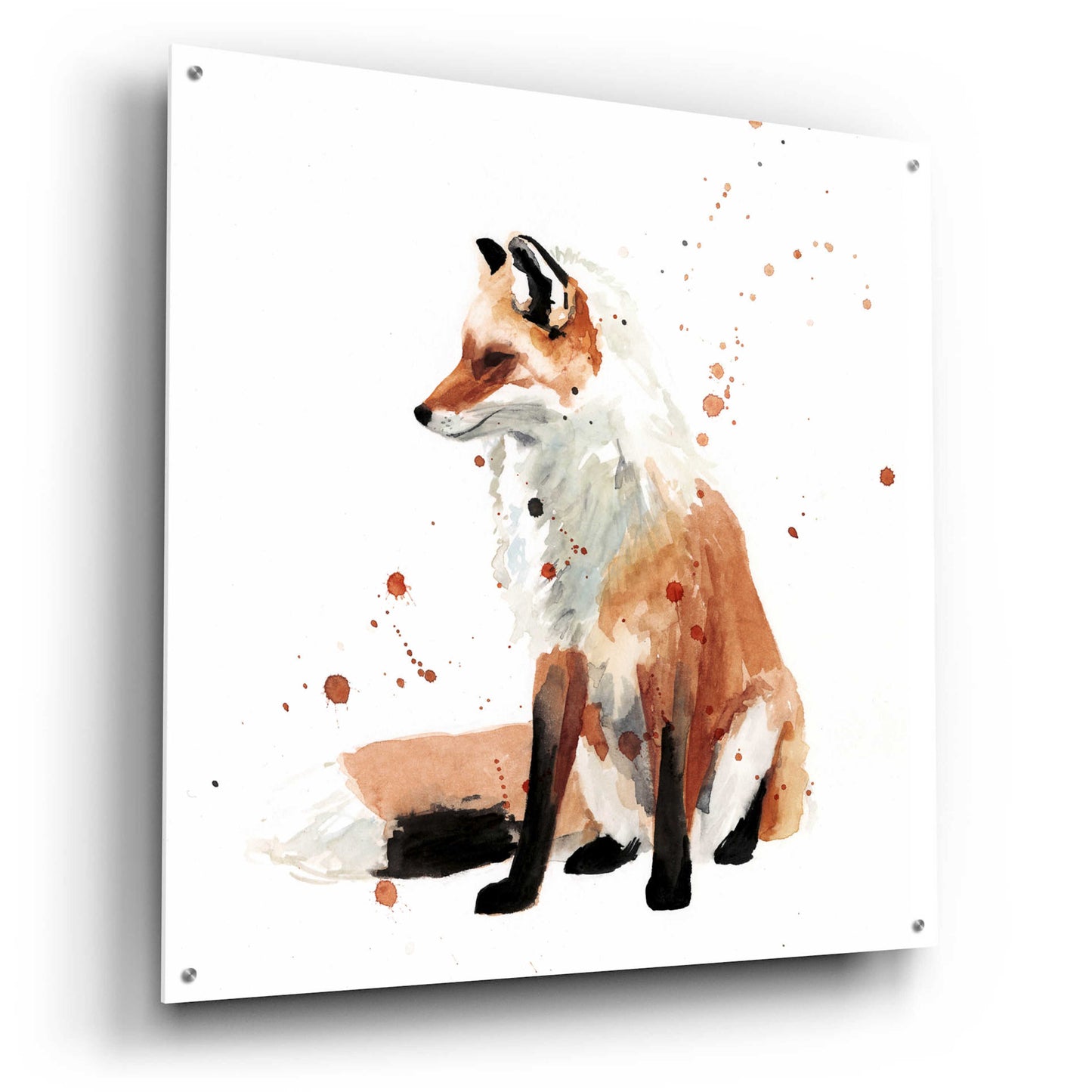 Epic Art 'Watercolor Fox I' by Victoria Barnes, Acrylic Glass Wall Art,36x36