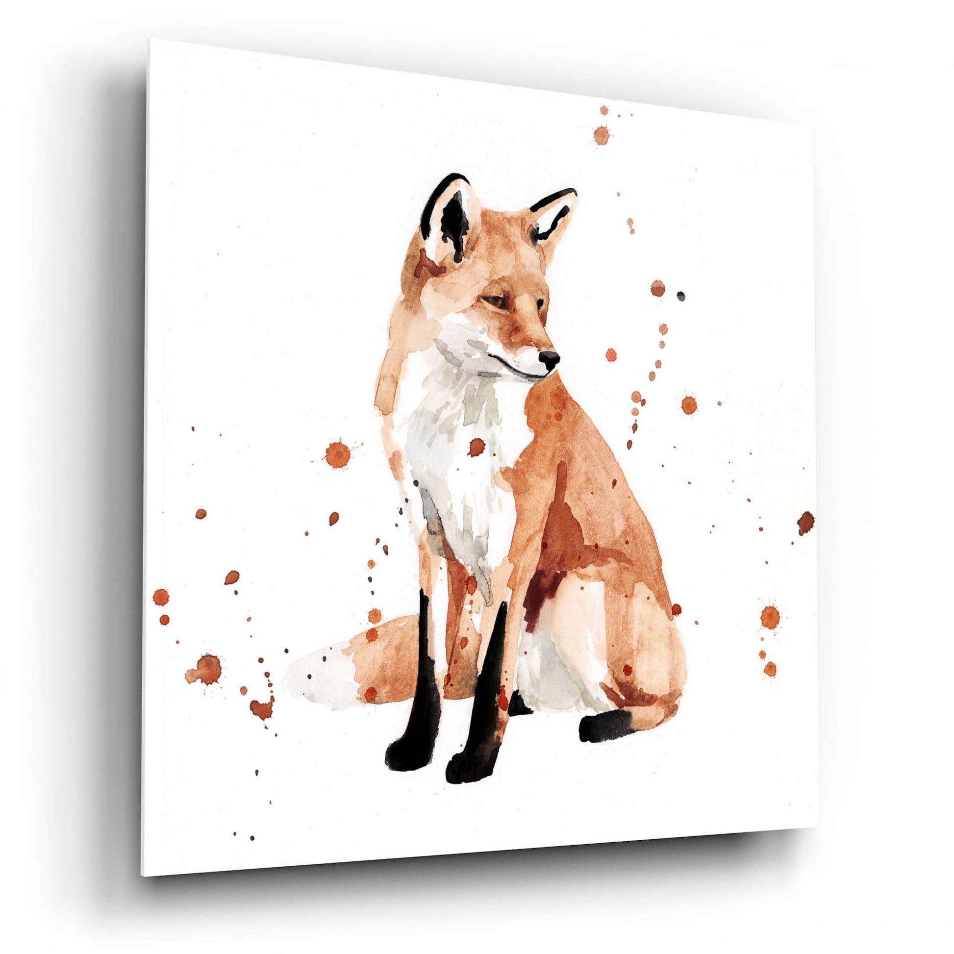 Epic Art 'Watercolor Fox II' by Victoria Barnes, Acrylic Glass Wall Art,12x12