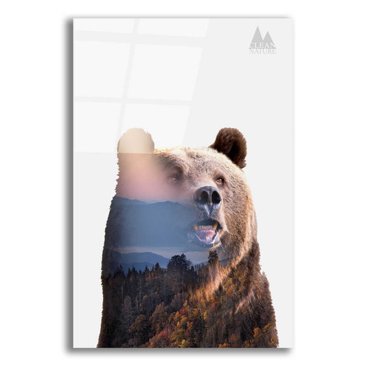 Epic Art 'Bear' by Clean Nature, Acrylic Glass Wall Art