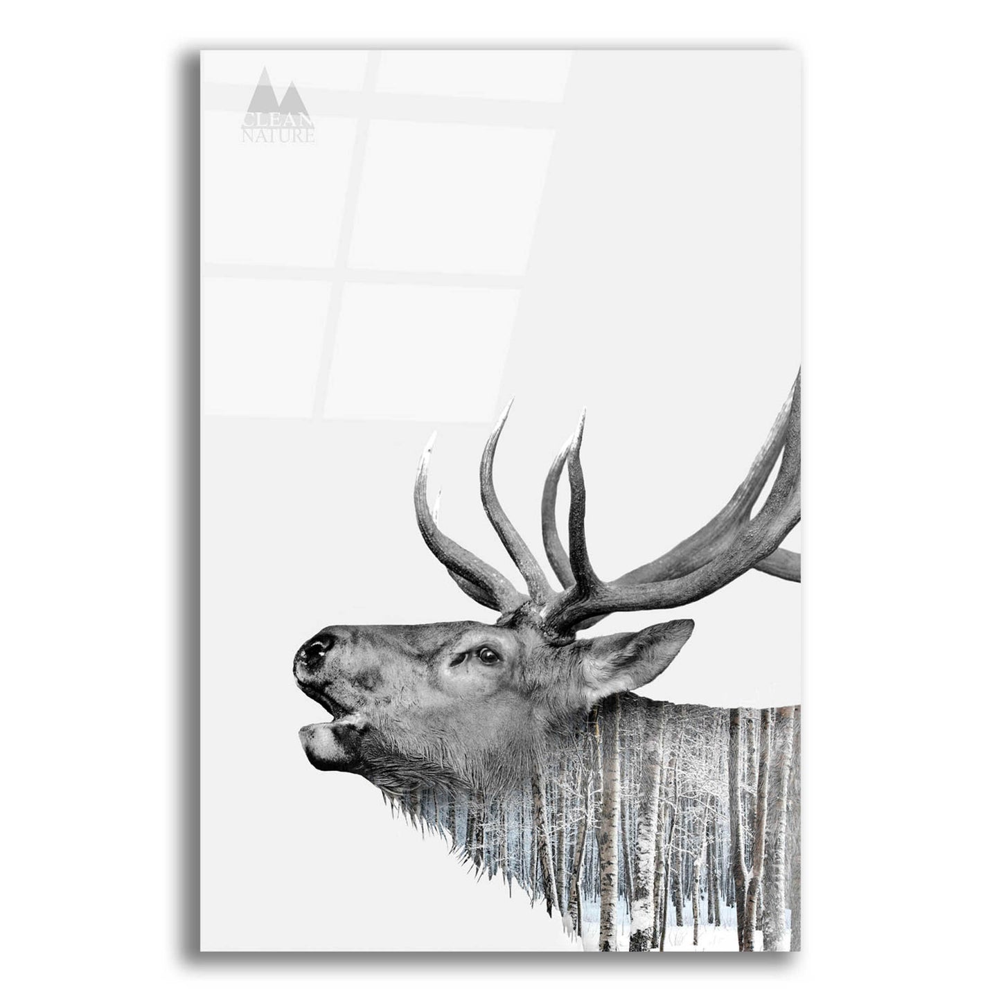 Epic Art 'Deer' by Clean Nature, Acrylic Glass Wall Art,12x16
