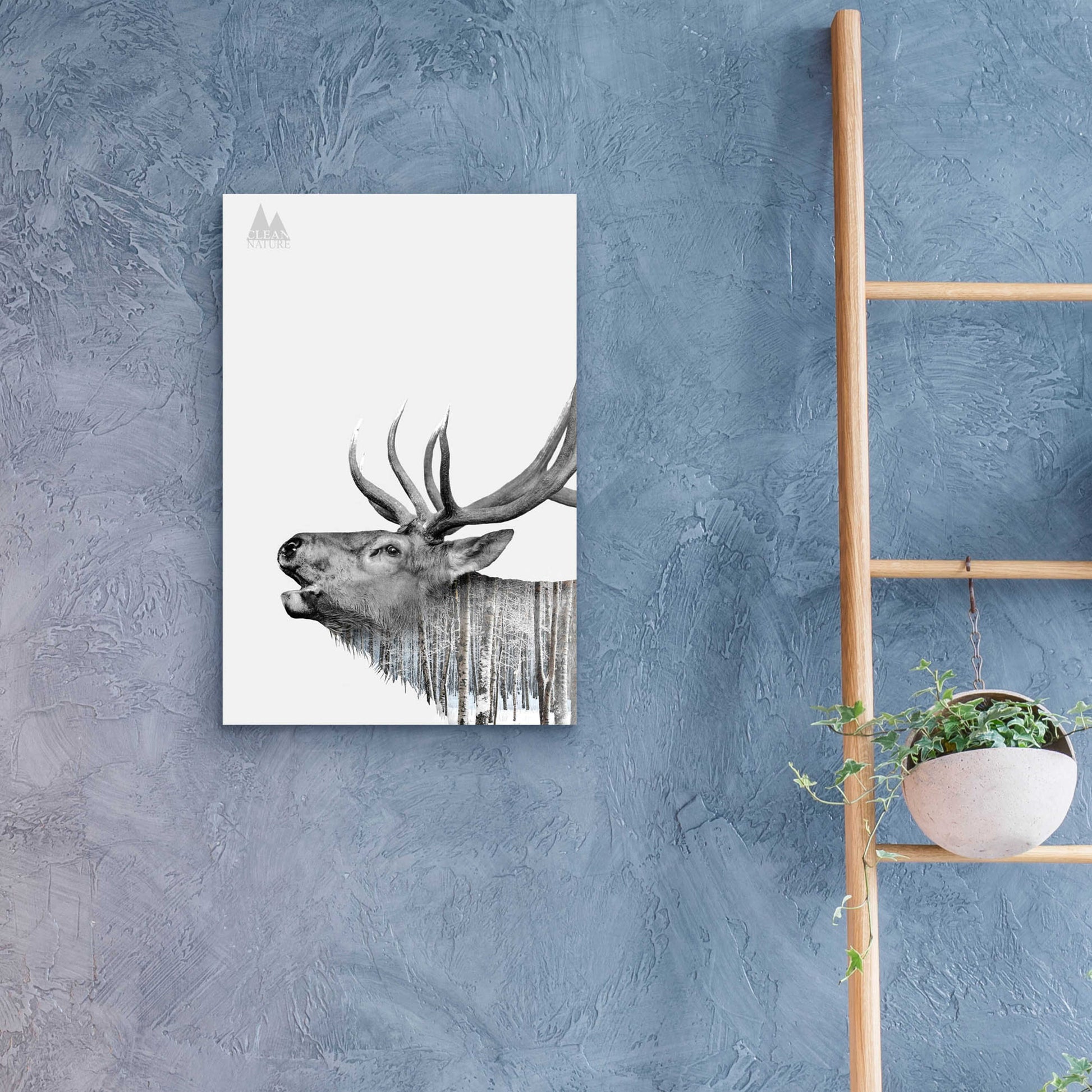 Epic Art 'Deer' by Clean Nature, Acrylic Glass Wall Art,16x24