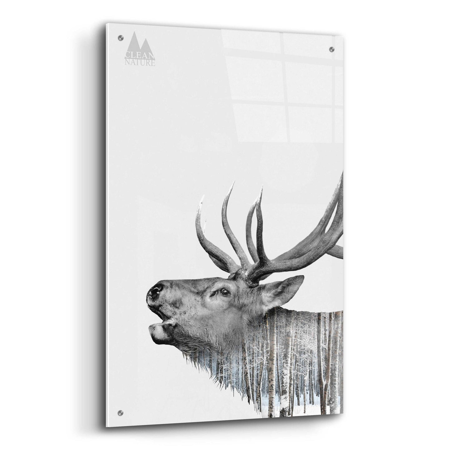 Epic Art 'Deer' by Clean Nature, Acrylic Glass Wall Art,24x36