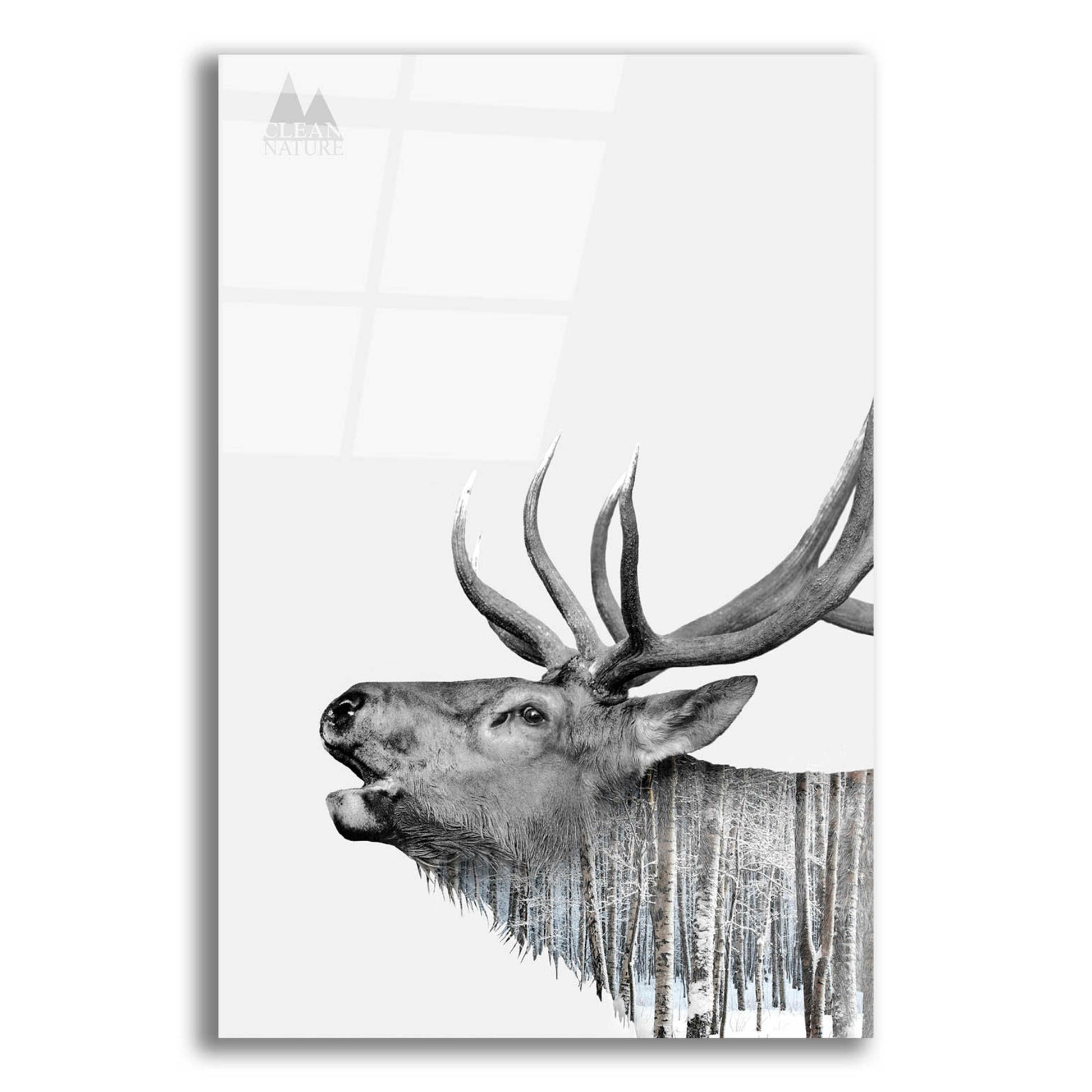 Epic Art 'Deer' by Clean Nature, Acrylic Glass Wall Art