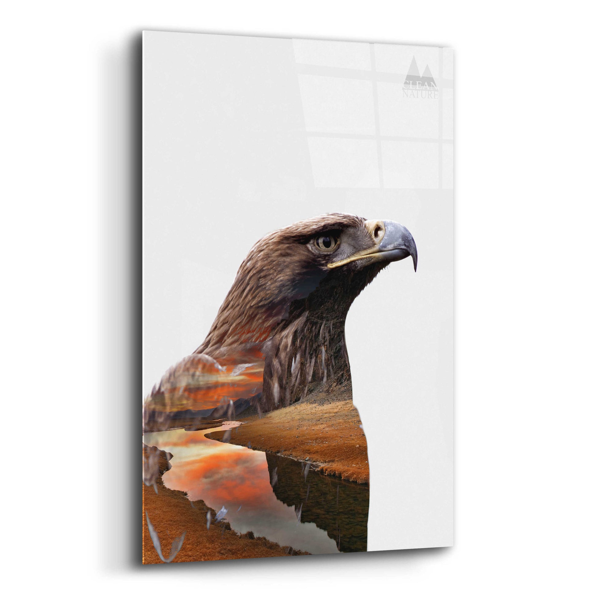 Epic Art 'Eagle' by Clean Nature, Acrylic Glass Wall Art,12x16