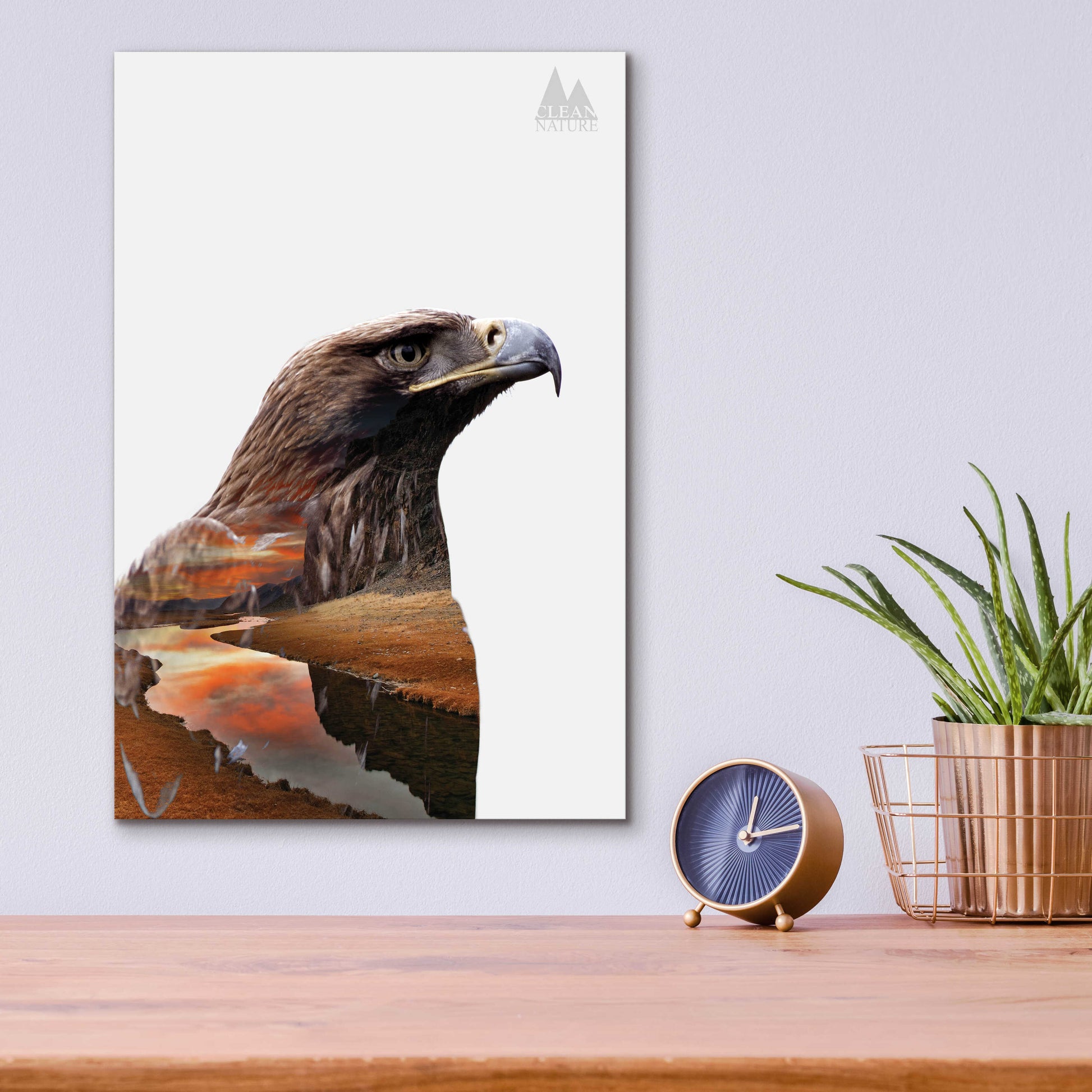 Epic Art 'Eagle' by Clean Nature, Acrylic Glass Wall Art,12x16