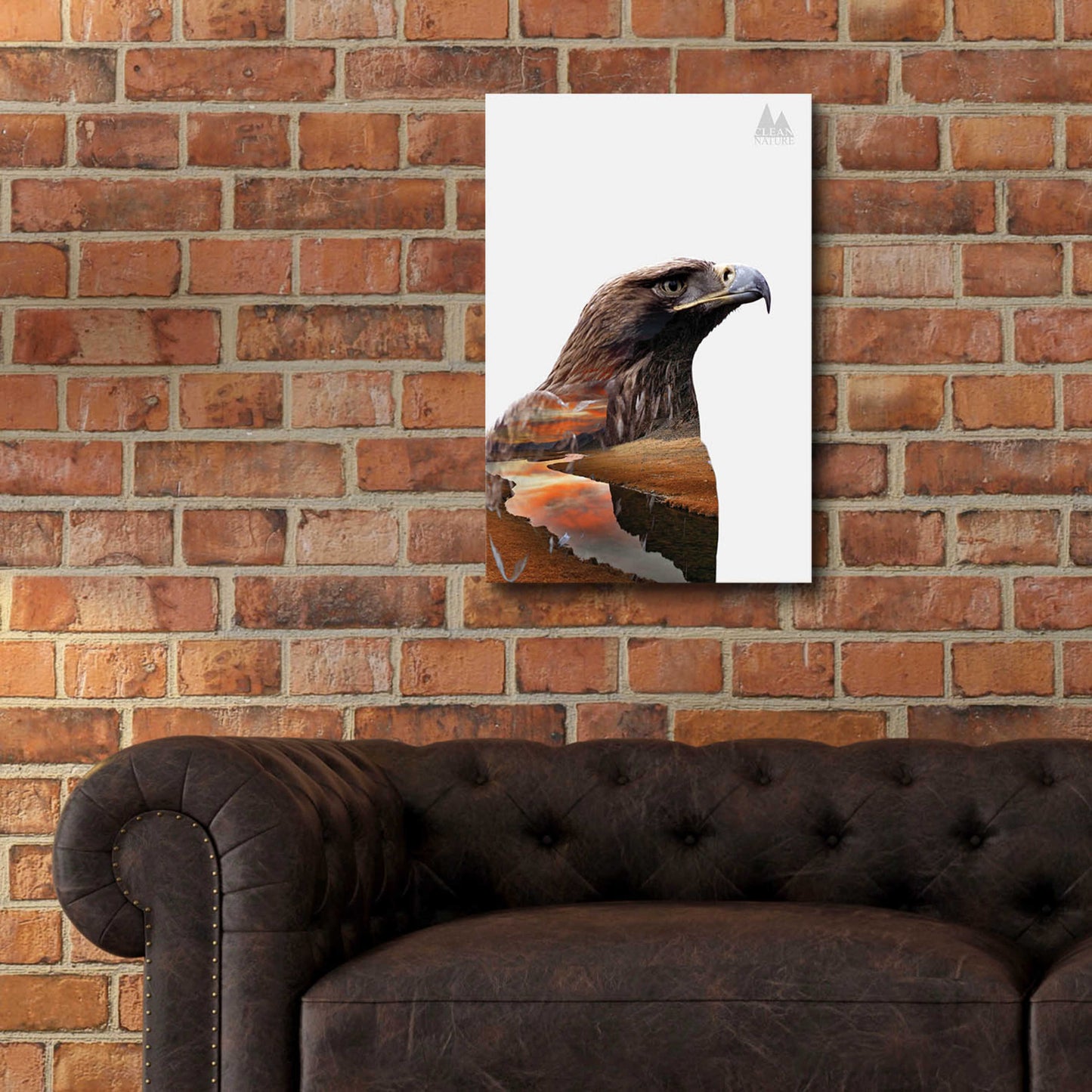 Epic Art 'Eagle' by Clean Nature, Acrylic Glass Wall Art,16x24