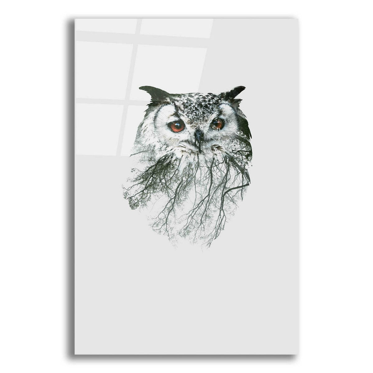 Epic Art 'Eye of the Forest II' by Clean Nature, Acrylic Glass Wall Art