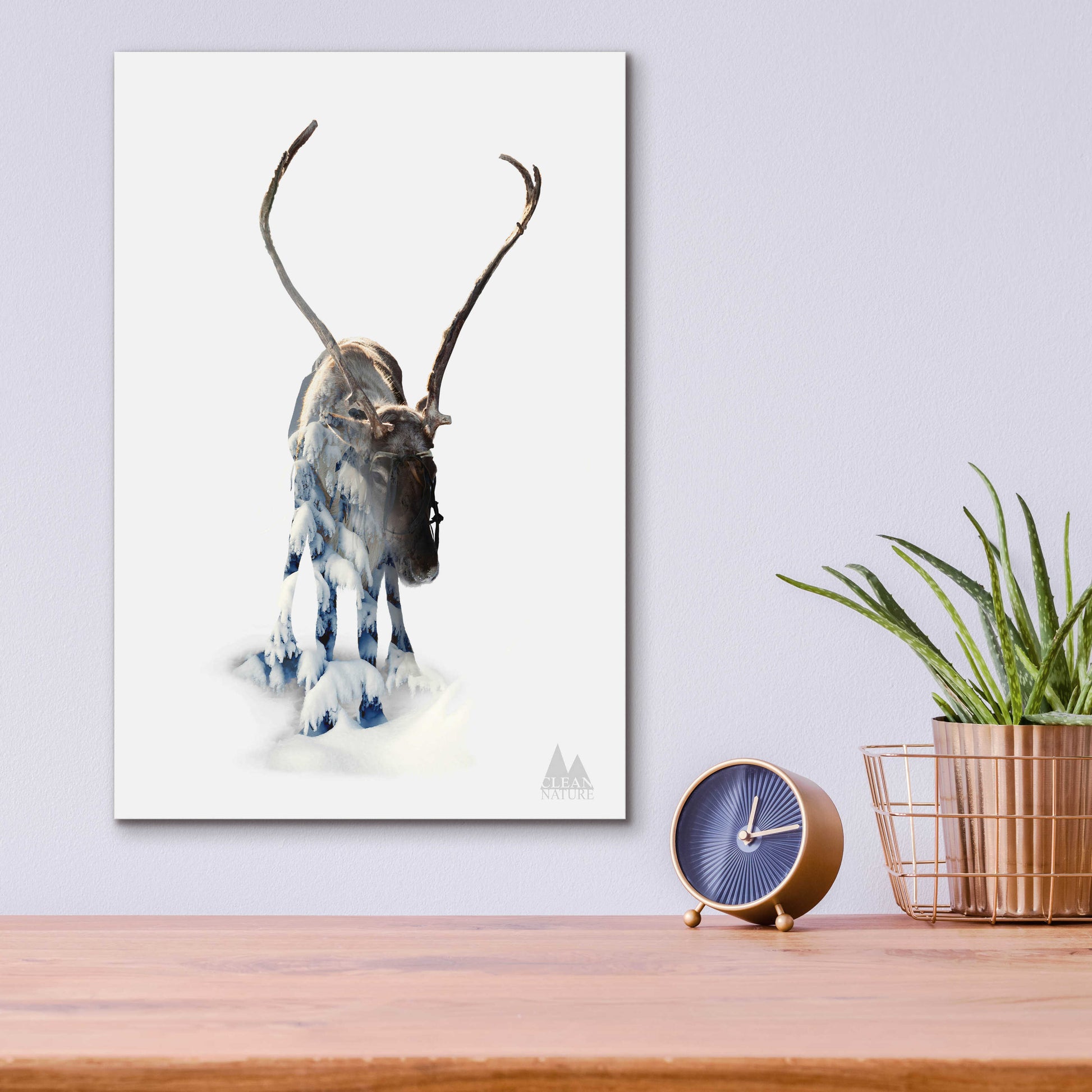 Epic Art 'Moose' by Clean Nature, Acrylic Glass Wall Art,12x16