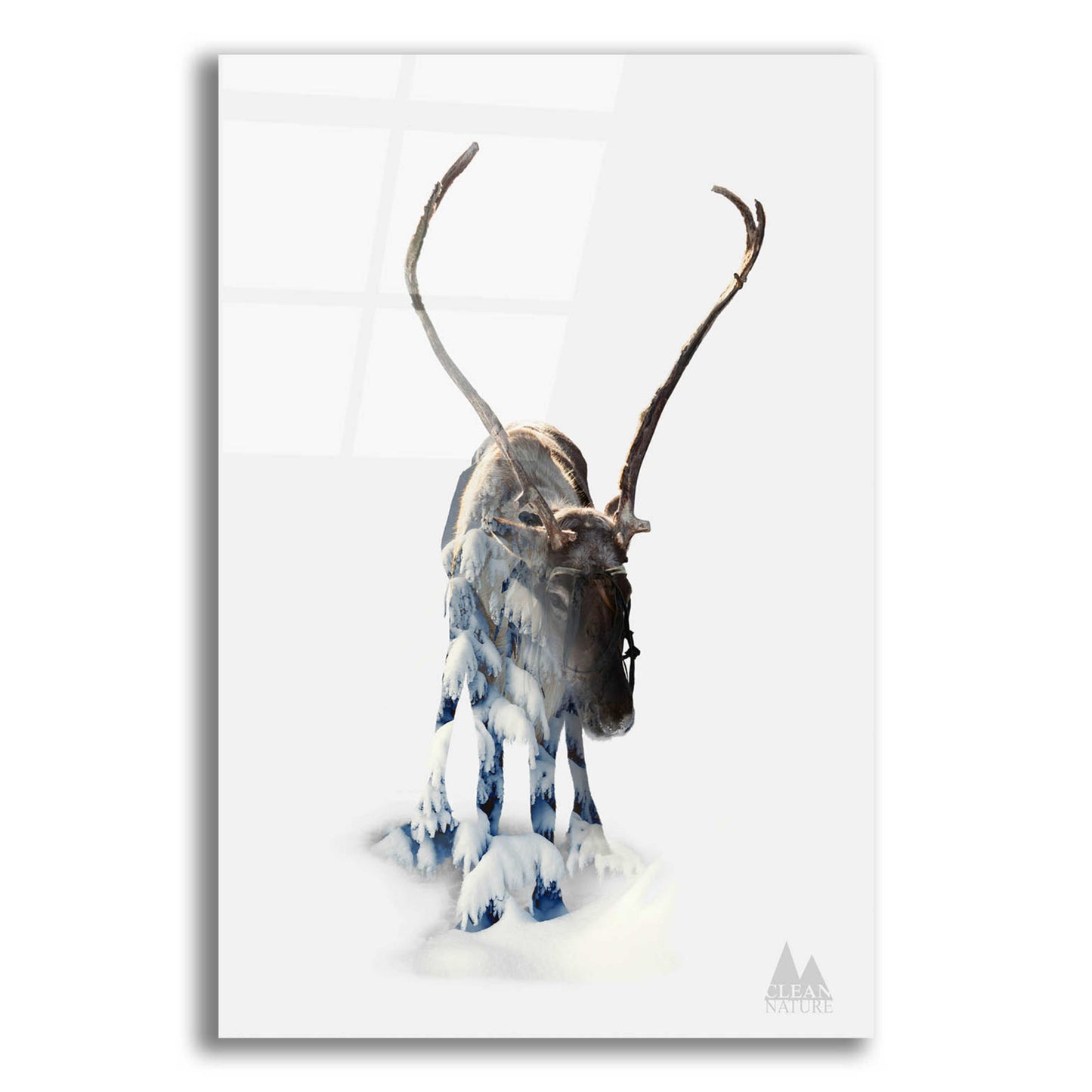 Epic Art 'Moose' by Clean Nature, Acrylic Glass Wall Art,12x16