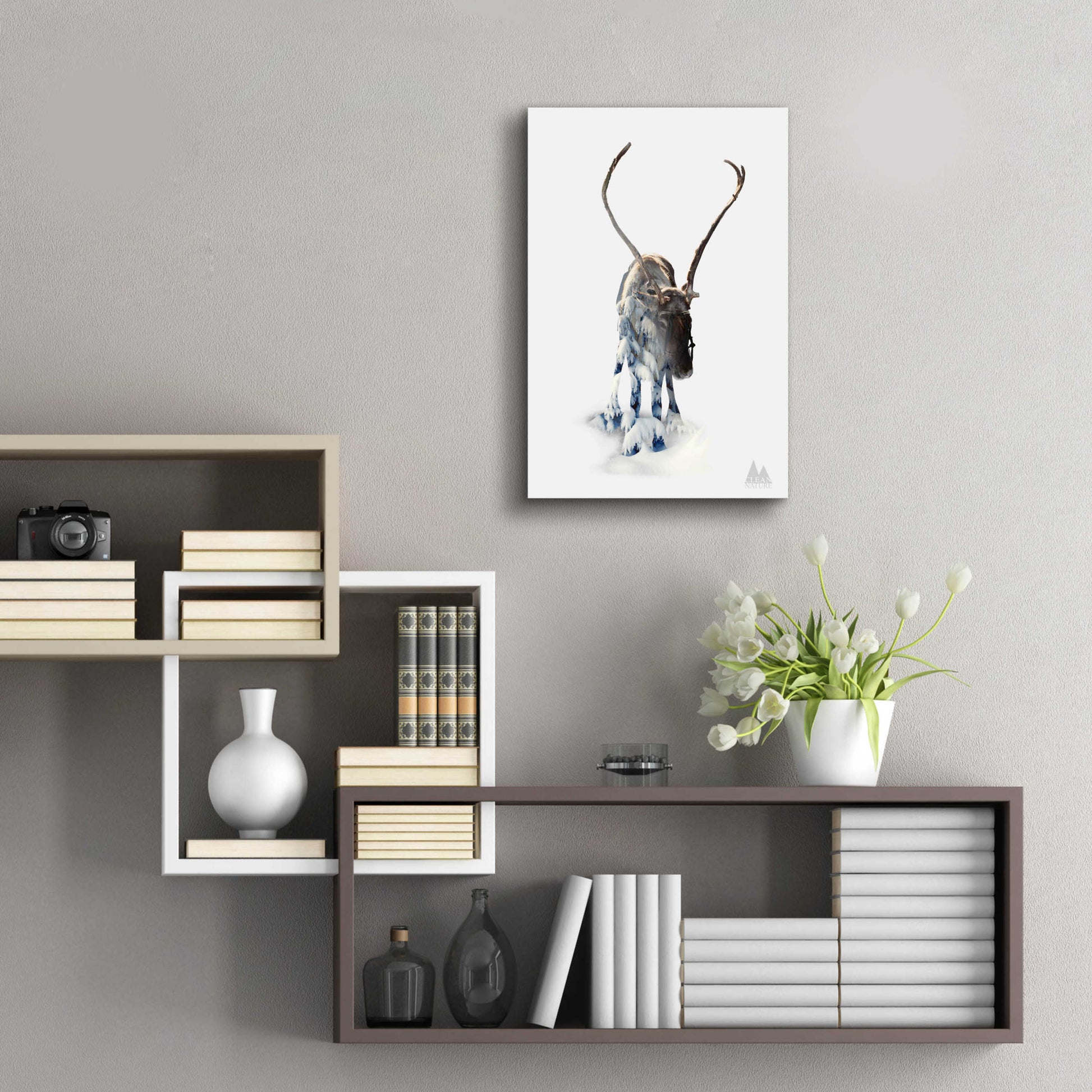 Epic Art 'Moose' by Clean Nature, Acrylic Glass Wall Art,16x24