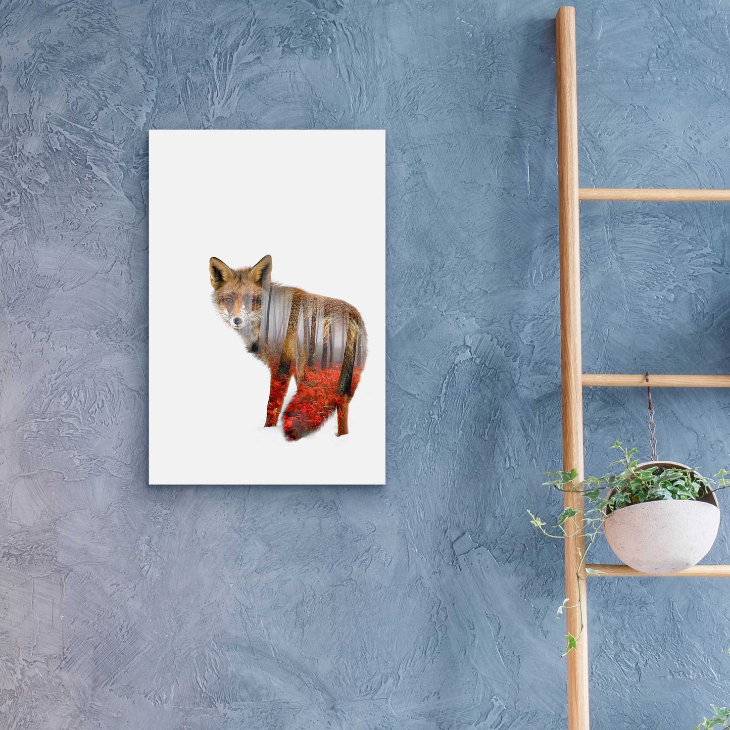 Epic Art 'Red fox' by Clean Nature, Acrylic Glass Wall Art,16x24