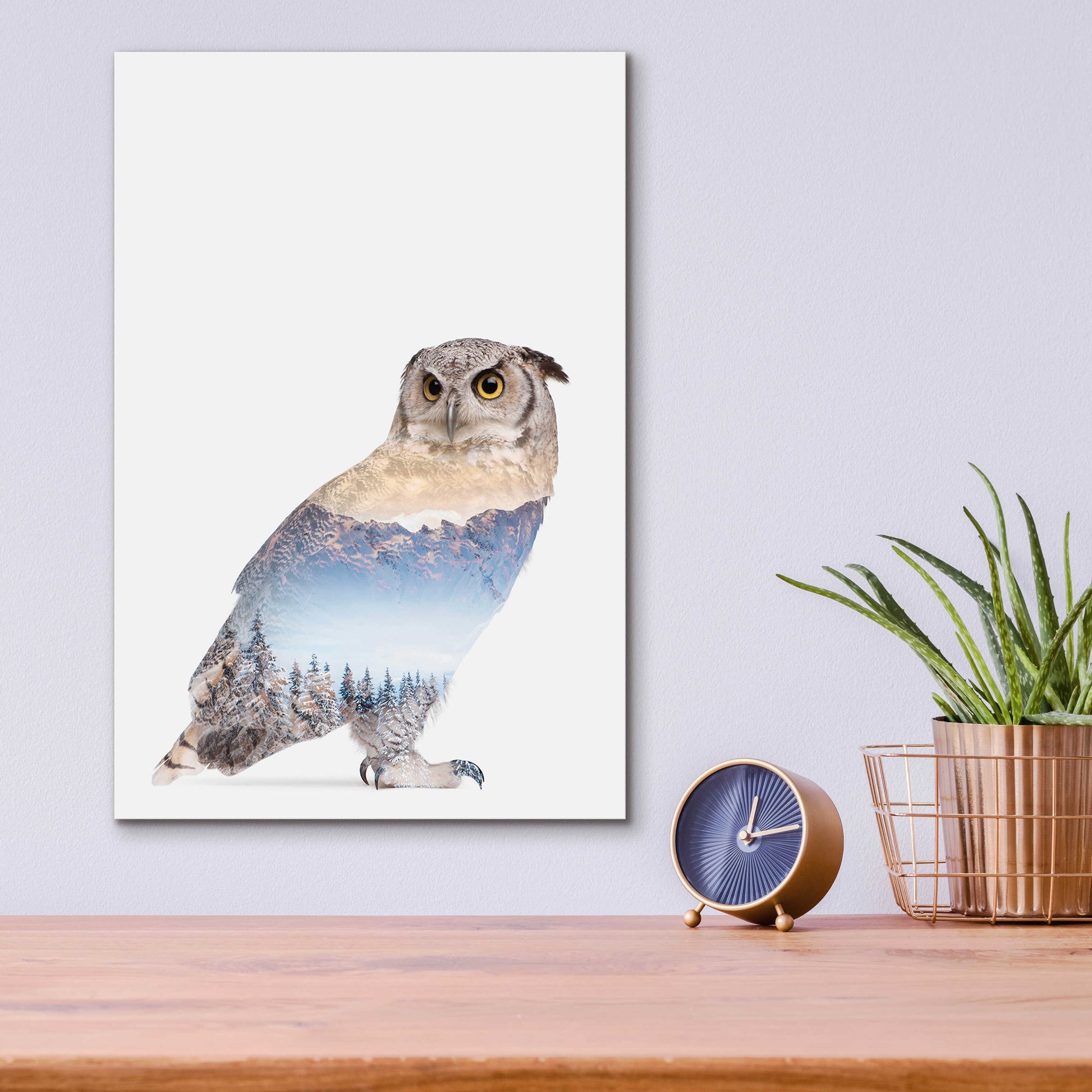 Epic Art 'Snow Owl I' by Clean Nature, Acrylic Glass Wall Art,12x16
