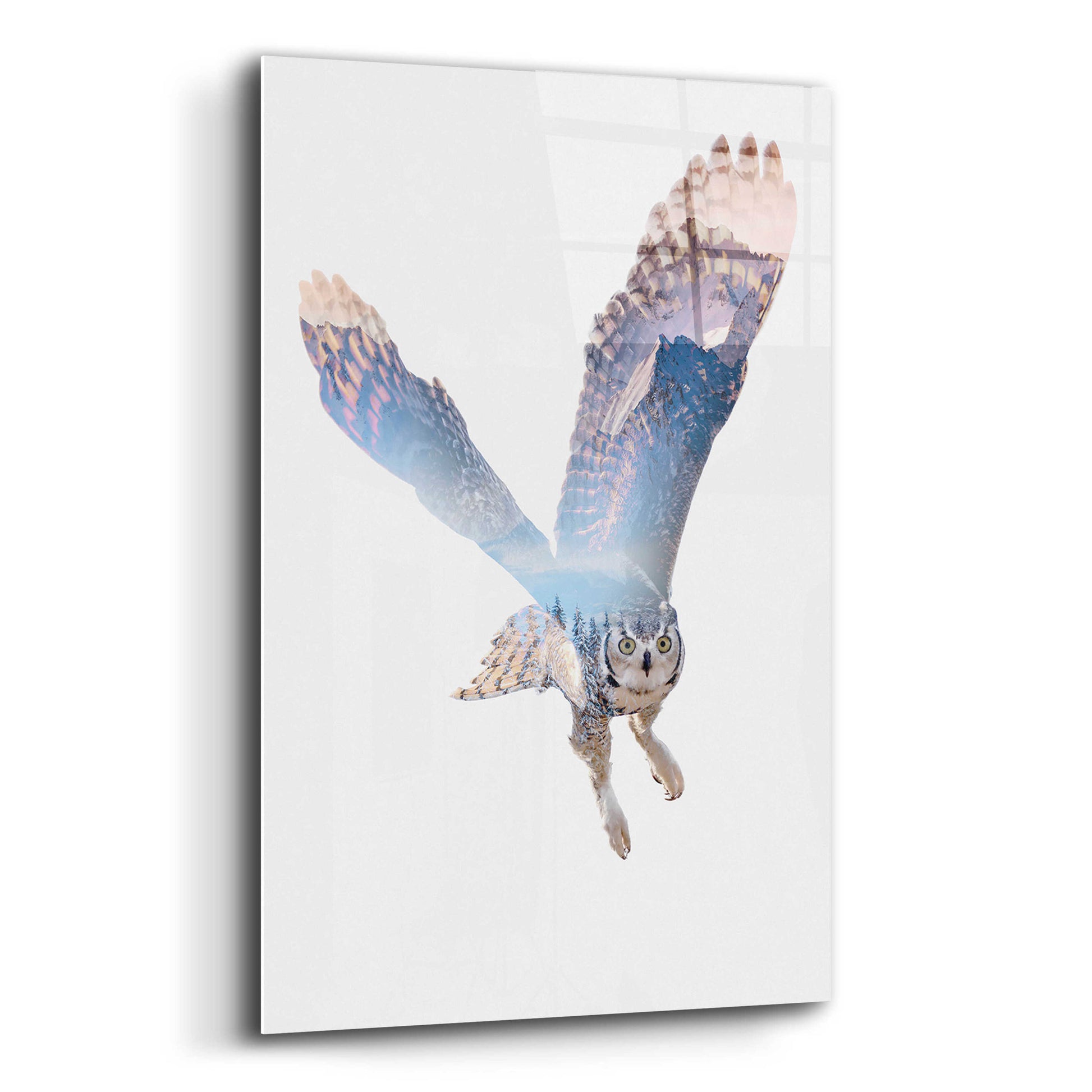 Epic Art 'Snow Owl II' by Clean Nature, Acrylic Glass Wall Art,16x24