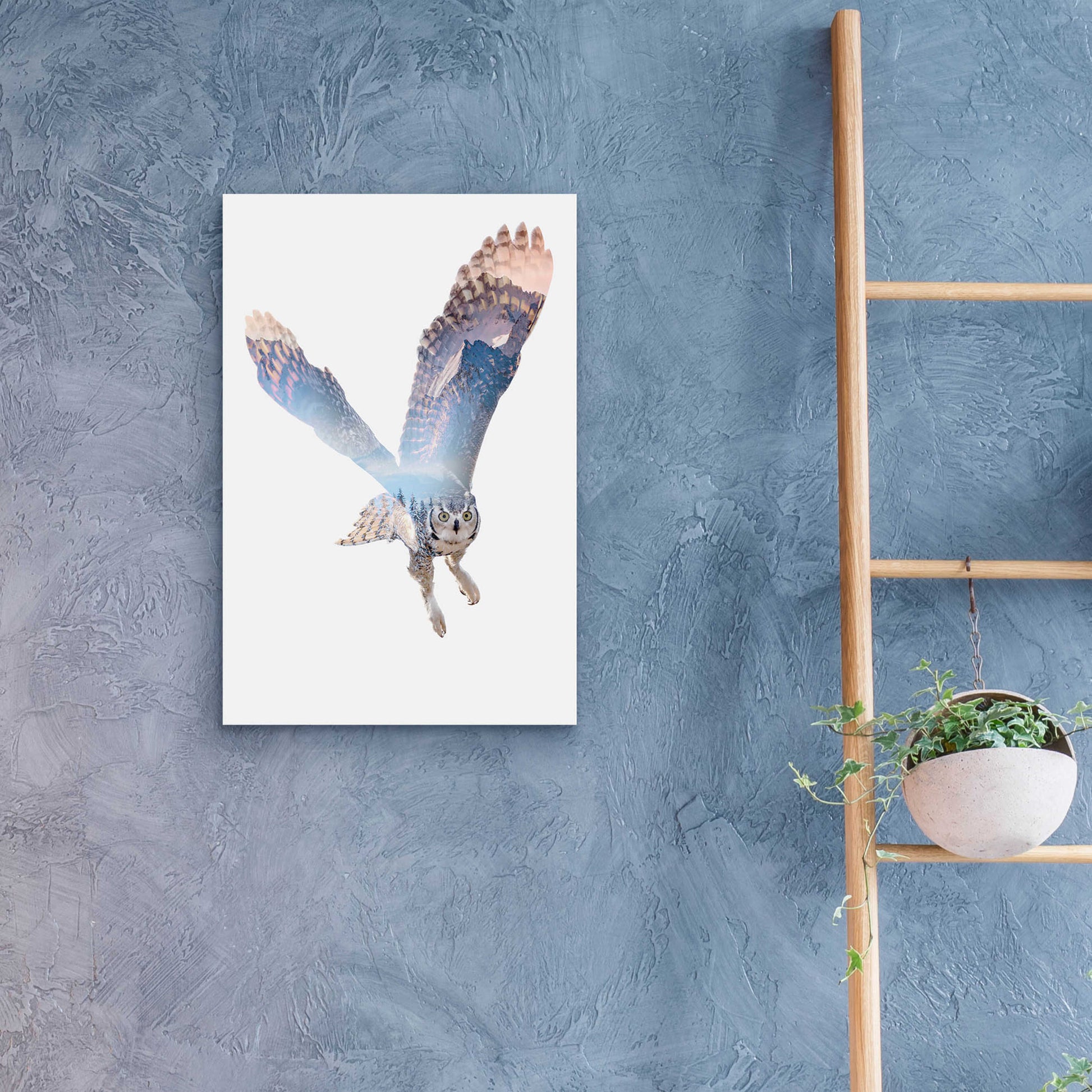 Epic Art 'Snow Owl II' by Clean Nature, Acrylic Glass Wall Art,16x24