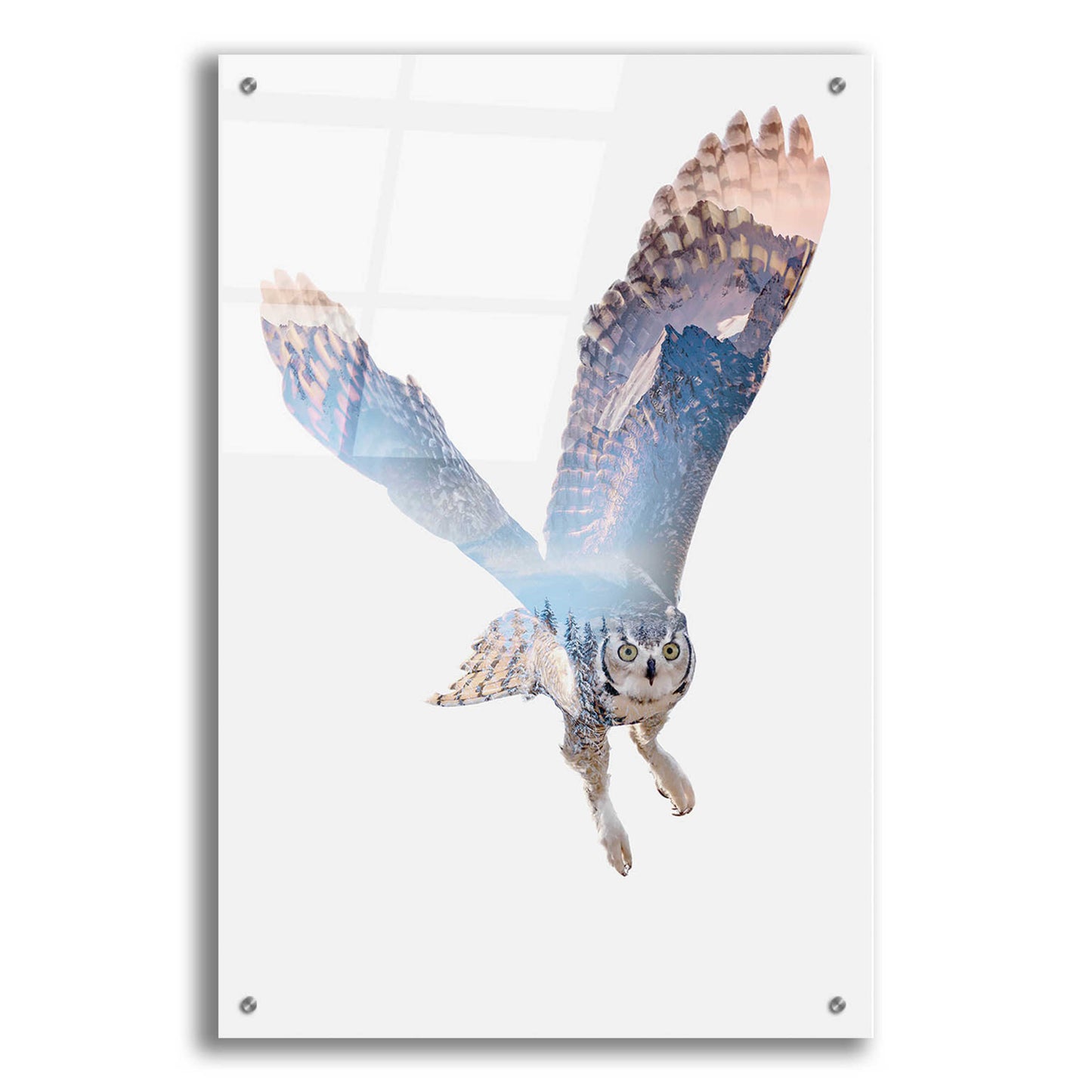 Epic Art 'Snow Owl II' by Clean Nature, Acrylic Glass Wall Art,24x36