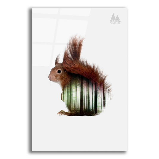 Epic Art 'Squirrel' by Clean Nature, Acrylic Glass Wall Art