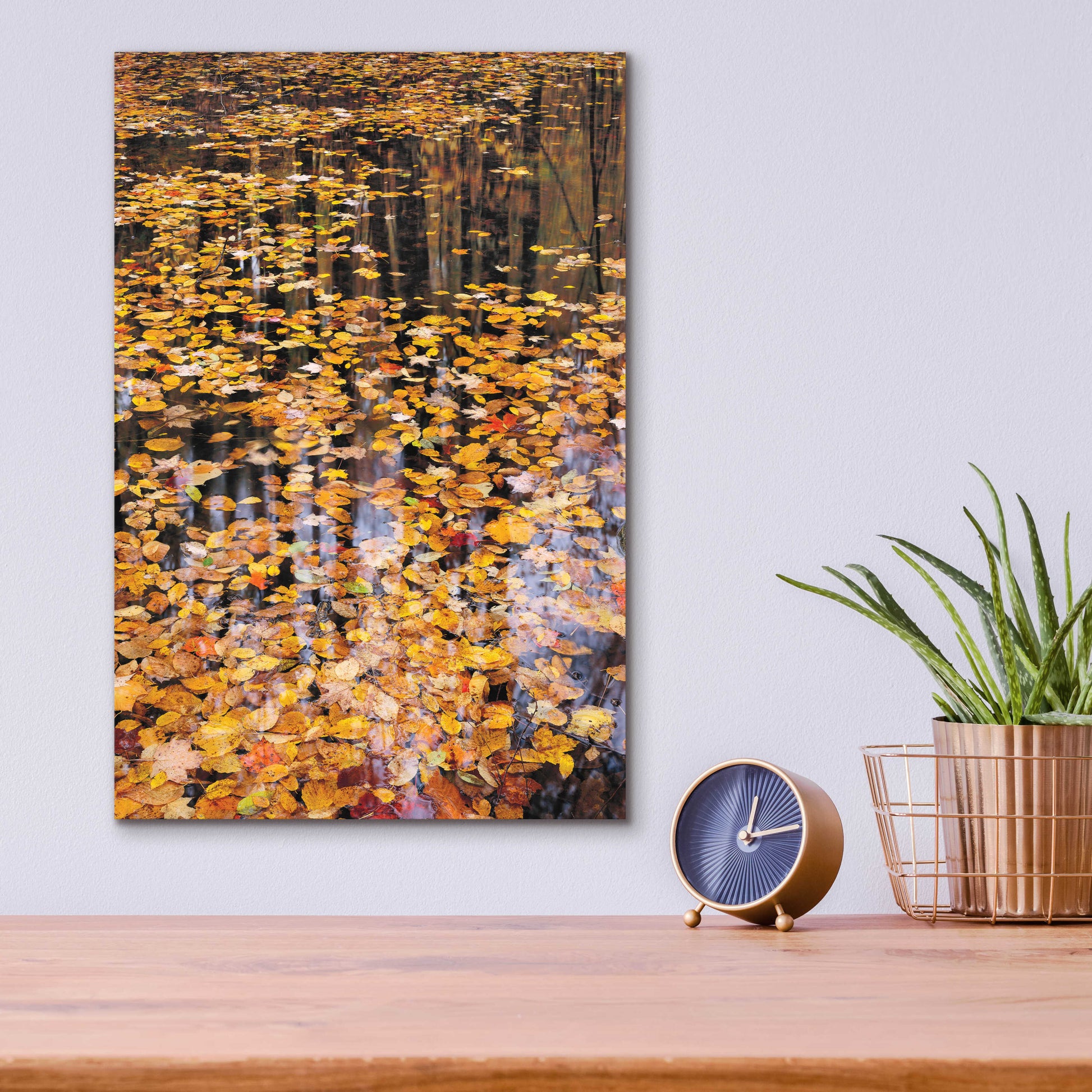 Epic Art 'Autumn Detail' by John Gavrilis, Acrylic Glass Wall Art,12x16