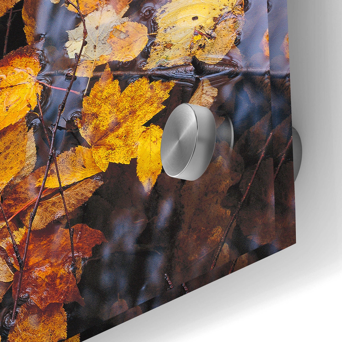 Epic Art 'Autumn Detail' by John Gavrilis, Acrylic Glass Wall Art,24x36