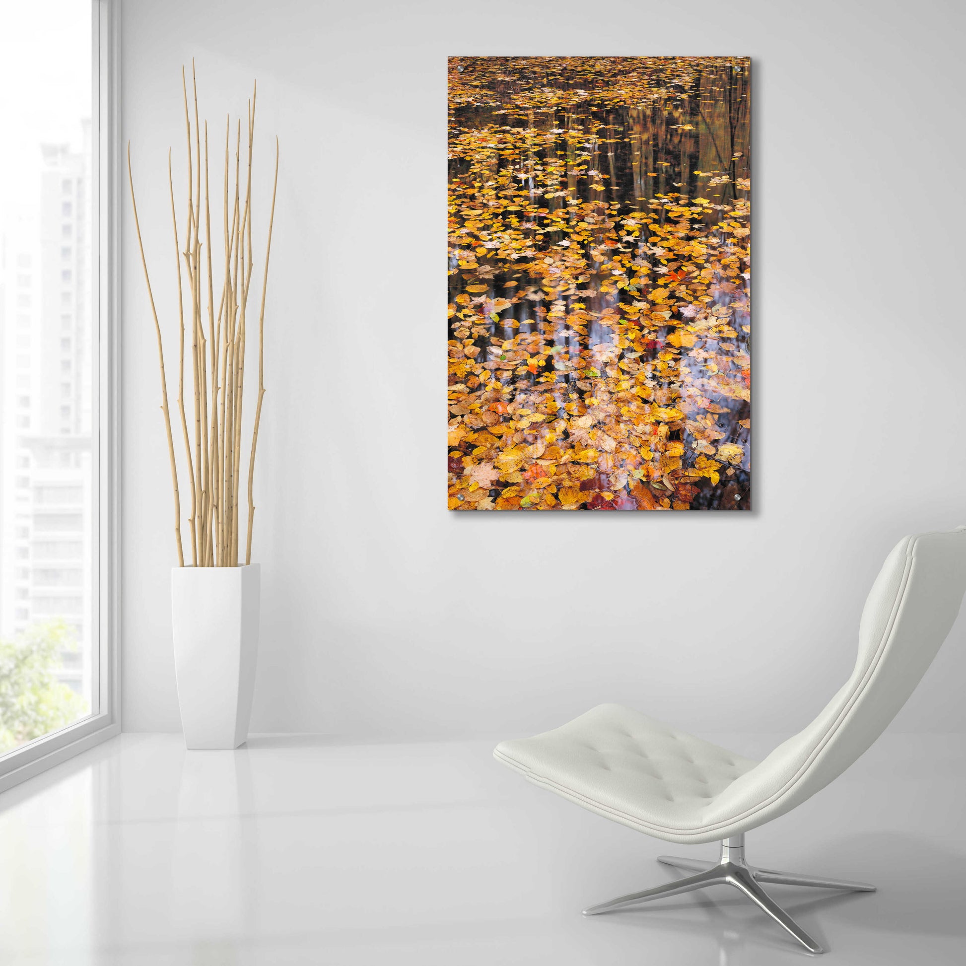 Epic Art 'Autumn Detail' by John Gavrilis, Acrylic Glass Wall Art,24x36