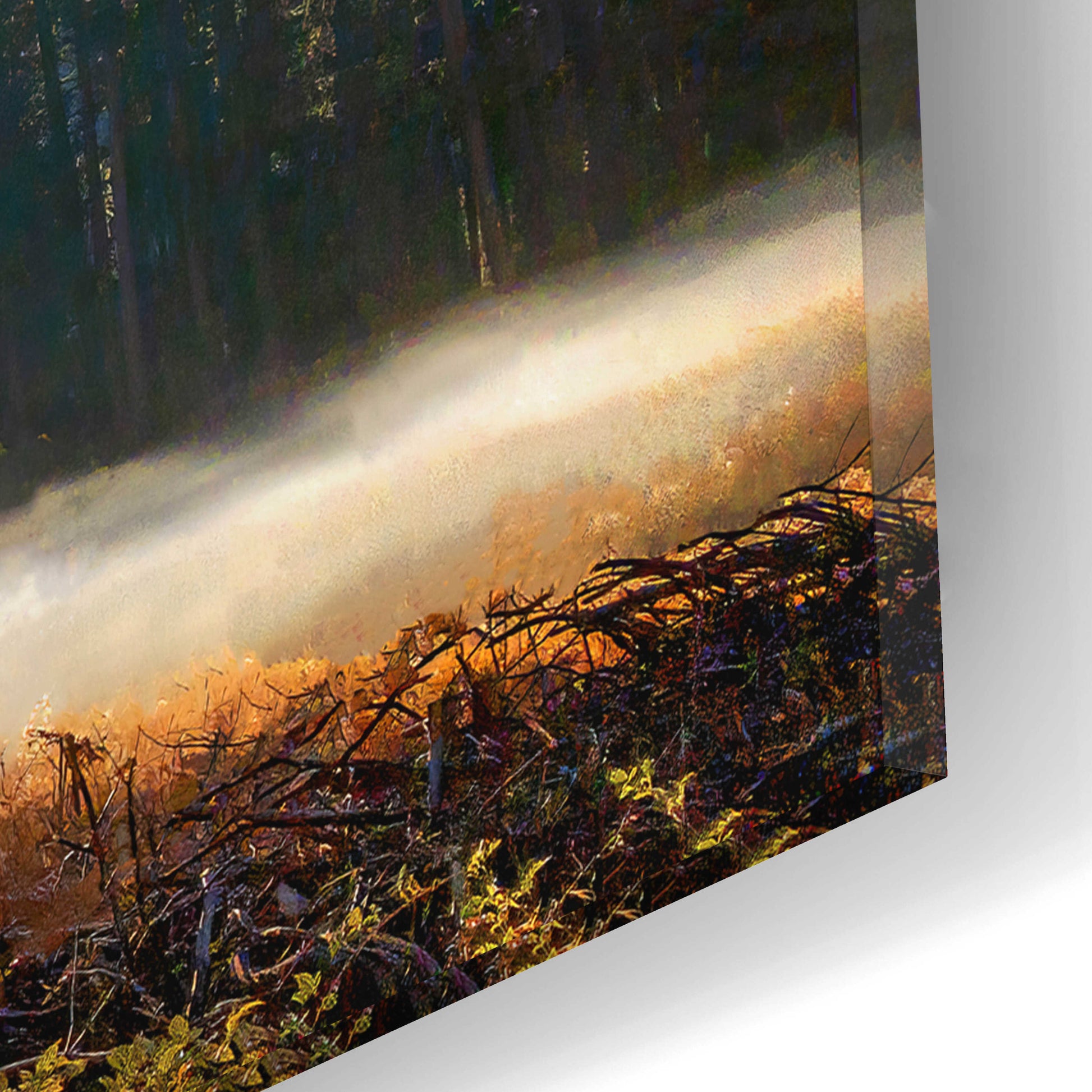 Epic Art 'Autumn Oak Sunrise & Fog' by John Gavrilis, Acrylic Glass Wall Art,16x12