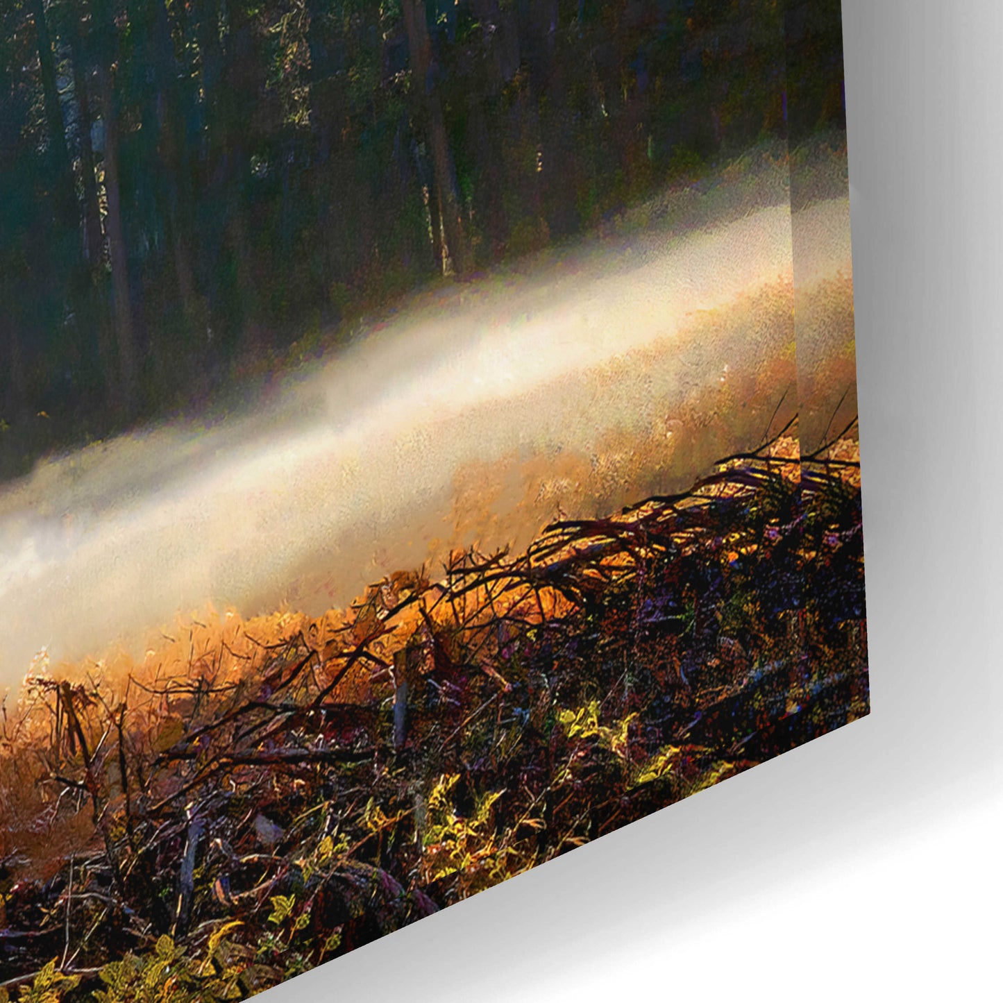 Epic Art 'Autumn Oak Sunrise & Fog' by John Gavrilis, Acrylic Glass Wall Art,24x16