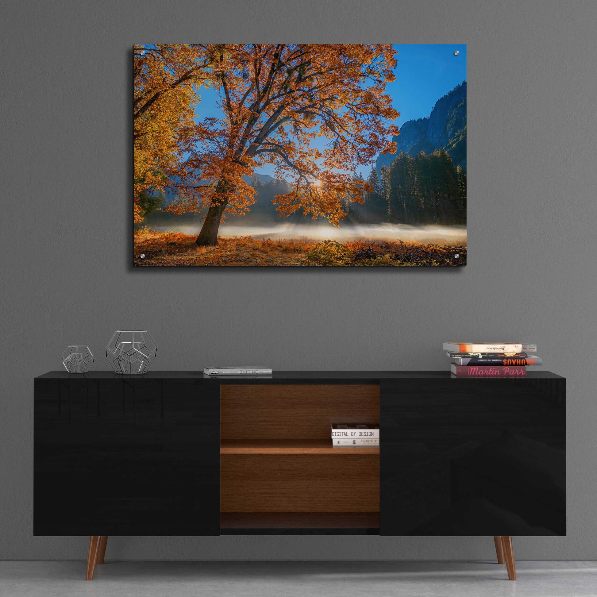 Epic Art 'Autumn Oak Sunrise & Fog' by John Gavrilis, Acrylic Glass Wall Art,36x24