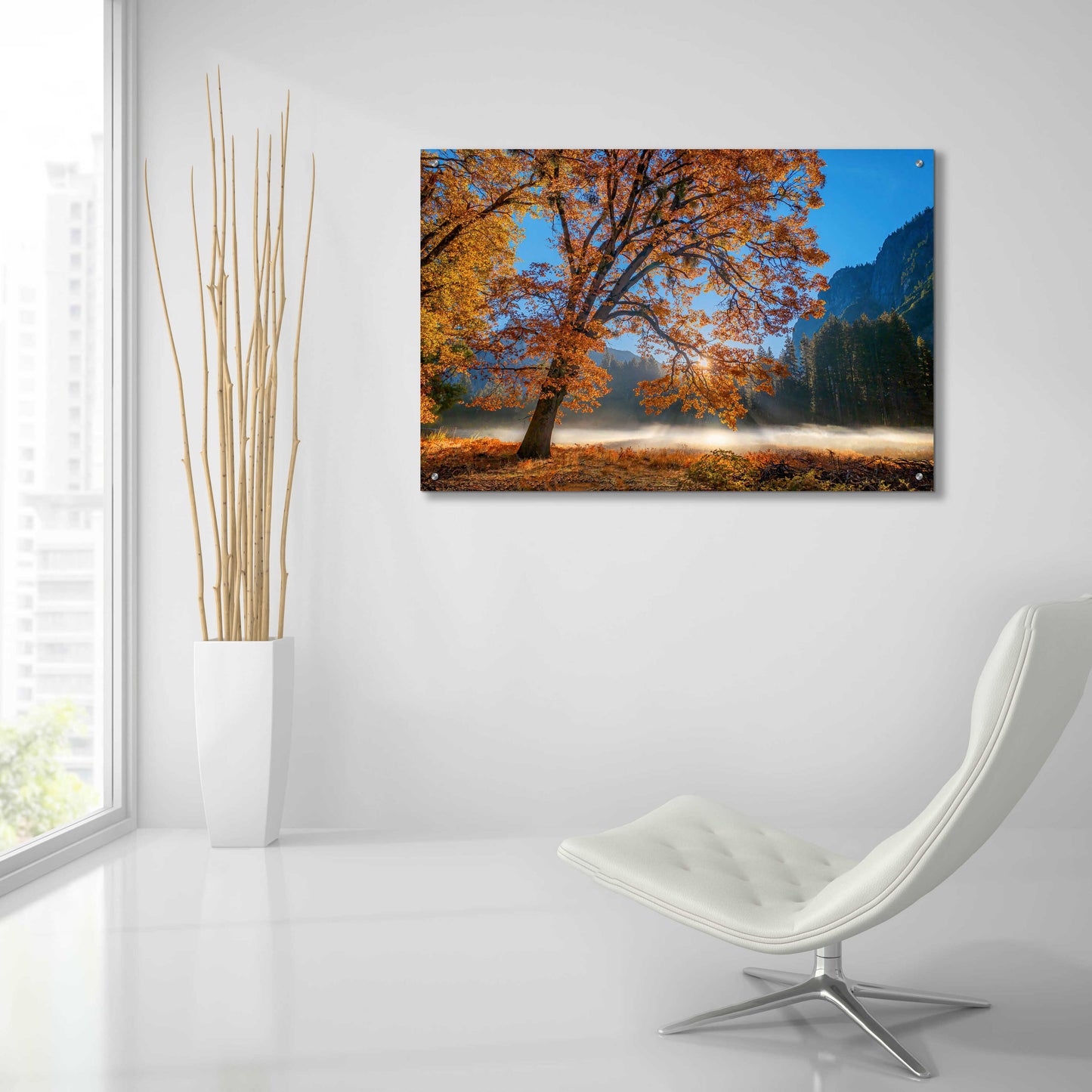 Epic Art 'Autumn Oak Sunrise & Fog' by John Gavrilis, Acrylic Glass Wall Art,36x24