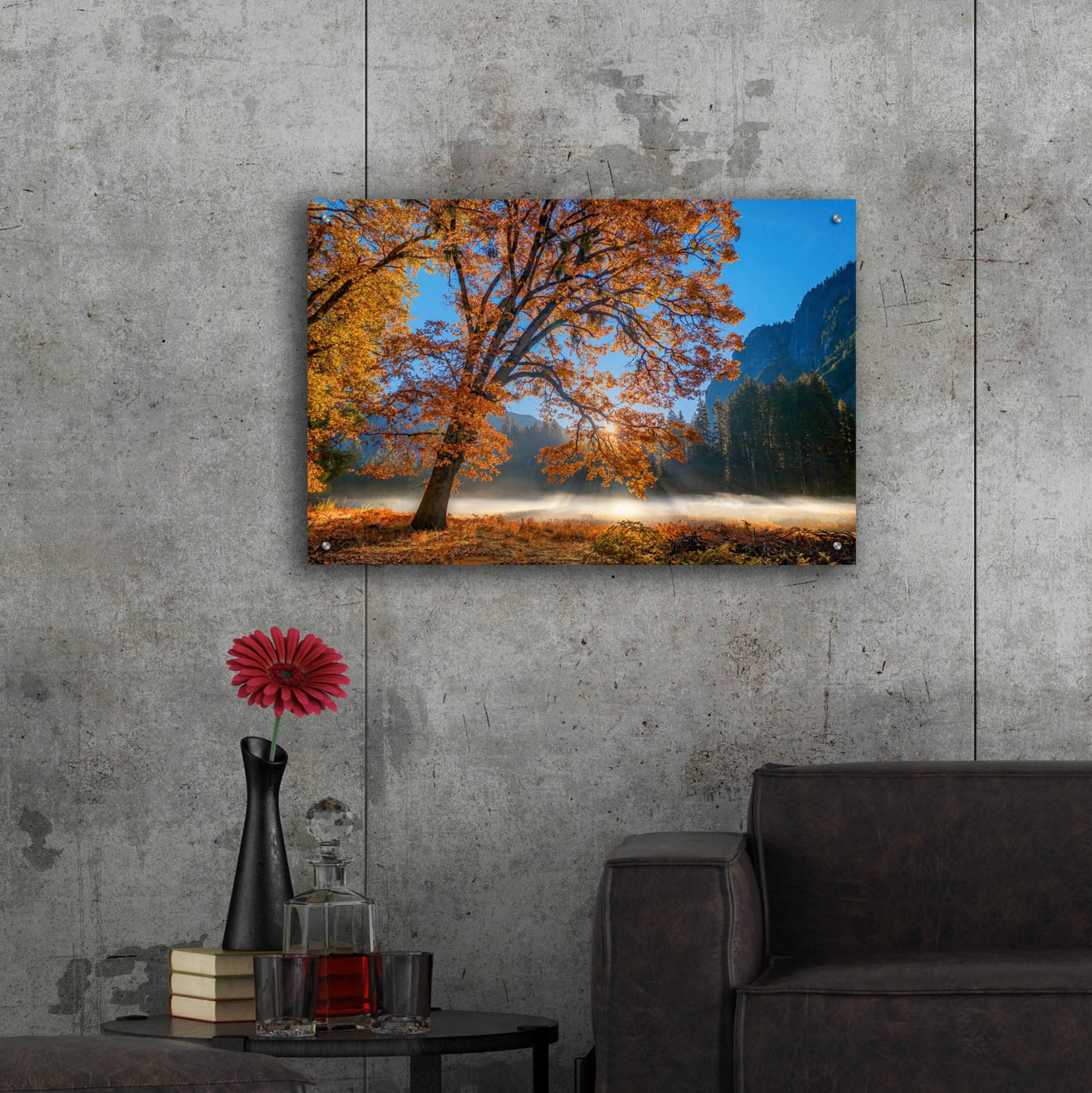 Epic Art 'Autumn Oak Sunrise & Fog' by John Gavrilis, Acrylic Glass Wall Art,36x24