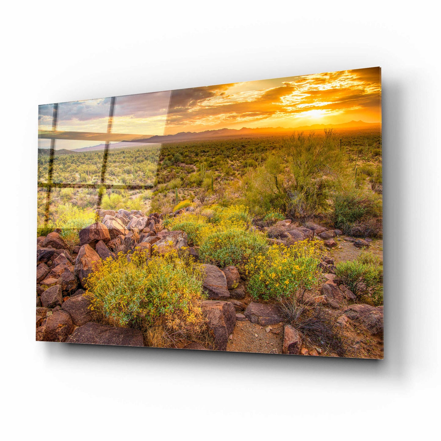 Epic Art 'Brittlebush Sunset' by John Gavrilis, Acrylic Glass Wall Art,16x12