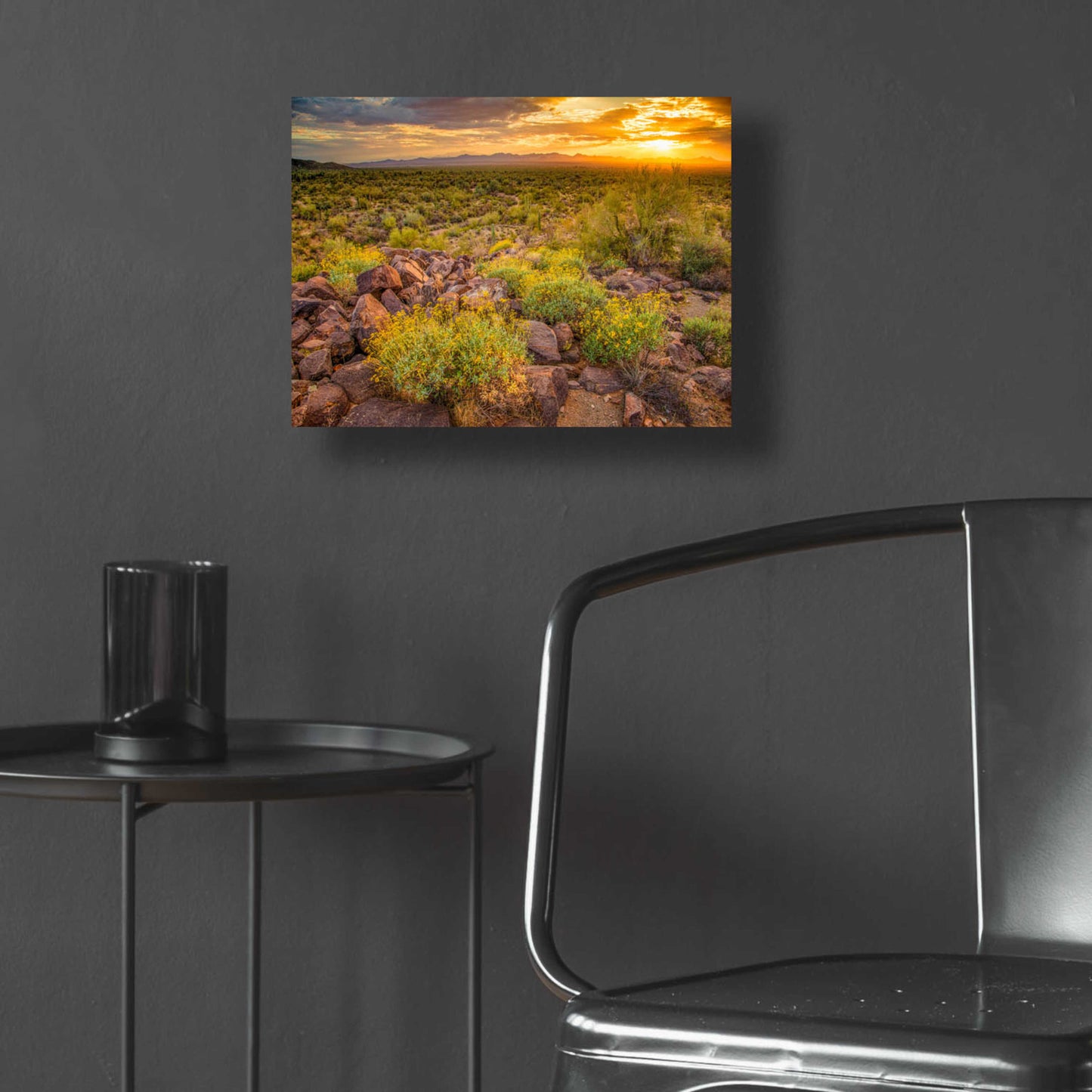 Epic Art 'Brittlebush Sunset' by John Gavrilis, Acrylic Glass Wall Art,16x12