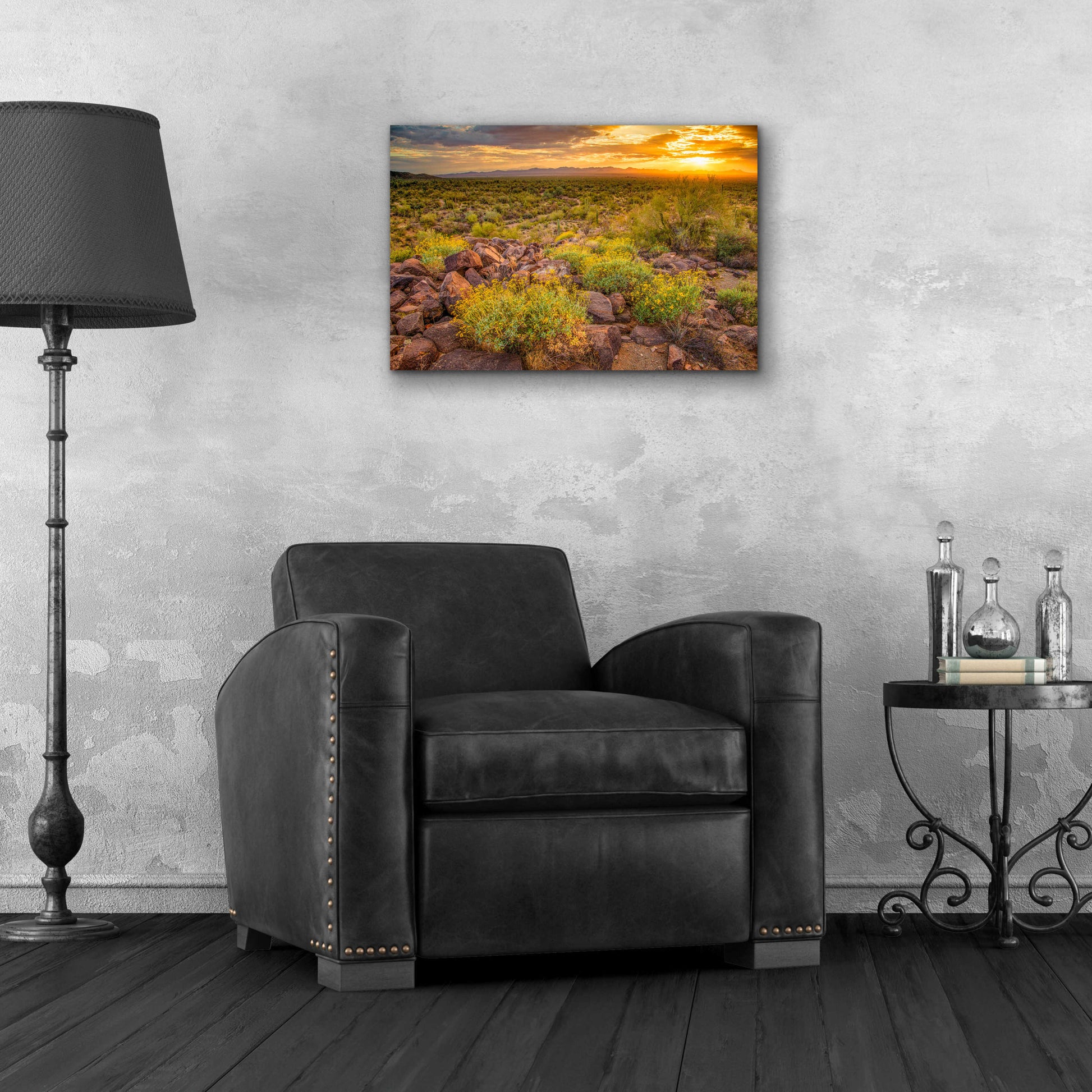 Epic Art 'Brittlebush Sunset' by John Gavrilis, Acrylic Glass Wall Art,24x16