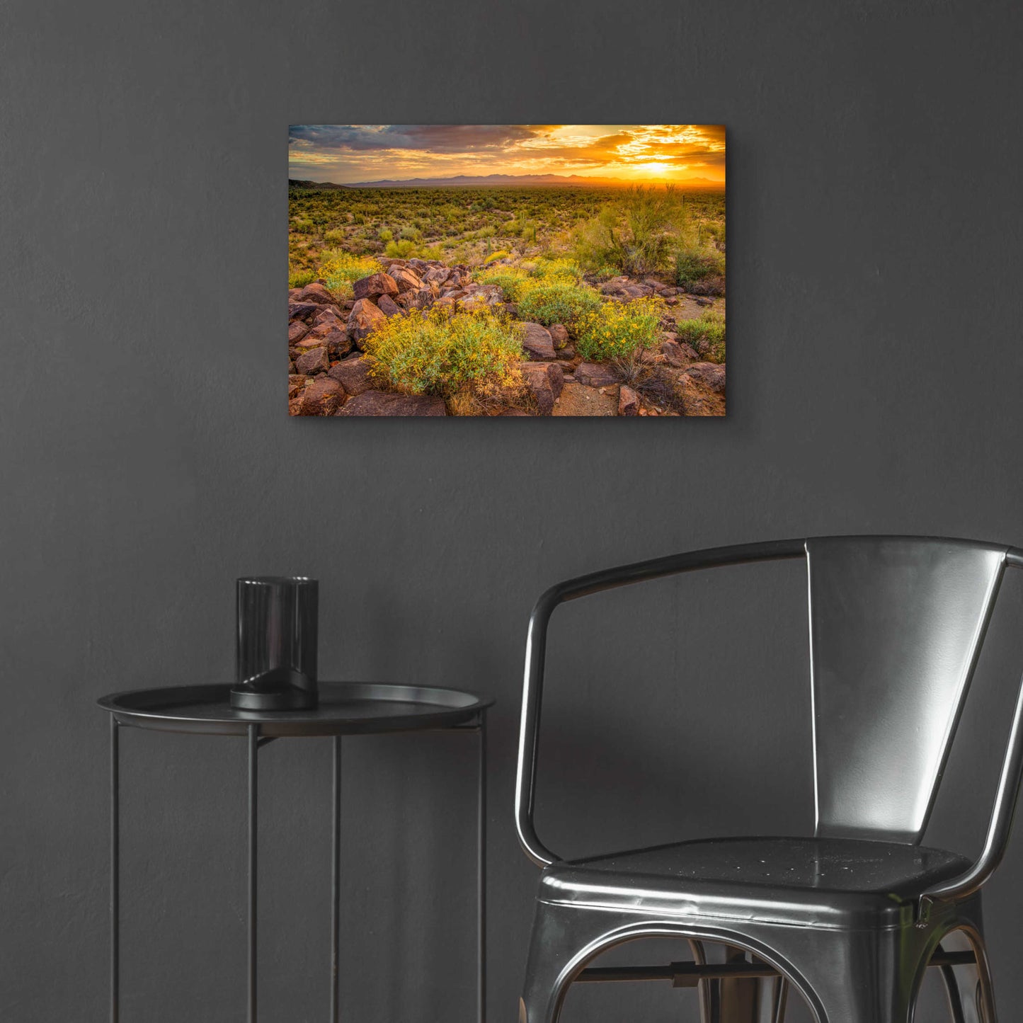 Epic Art 'Brittlebush Sunset' by John Gavrilis, Acrylic Glass Wall Art,24x16