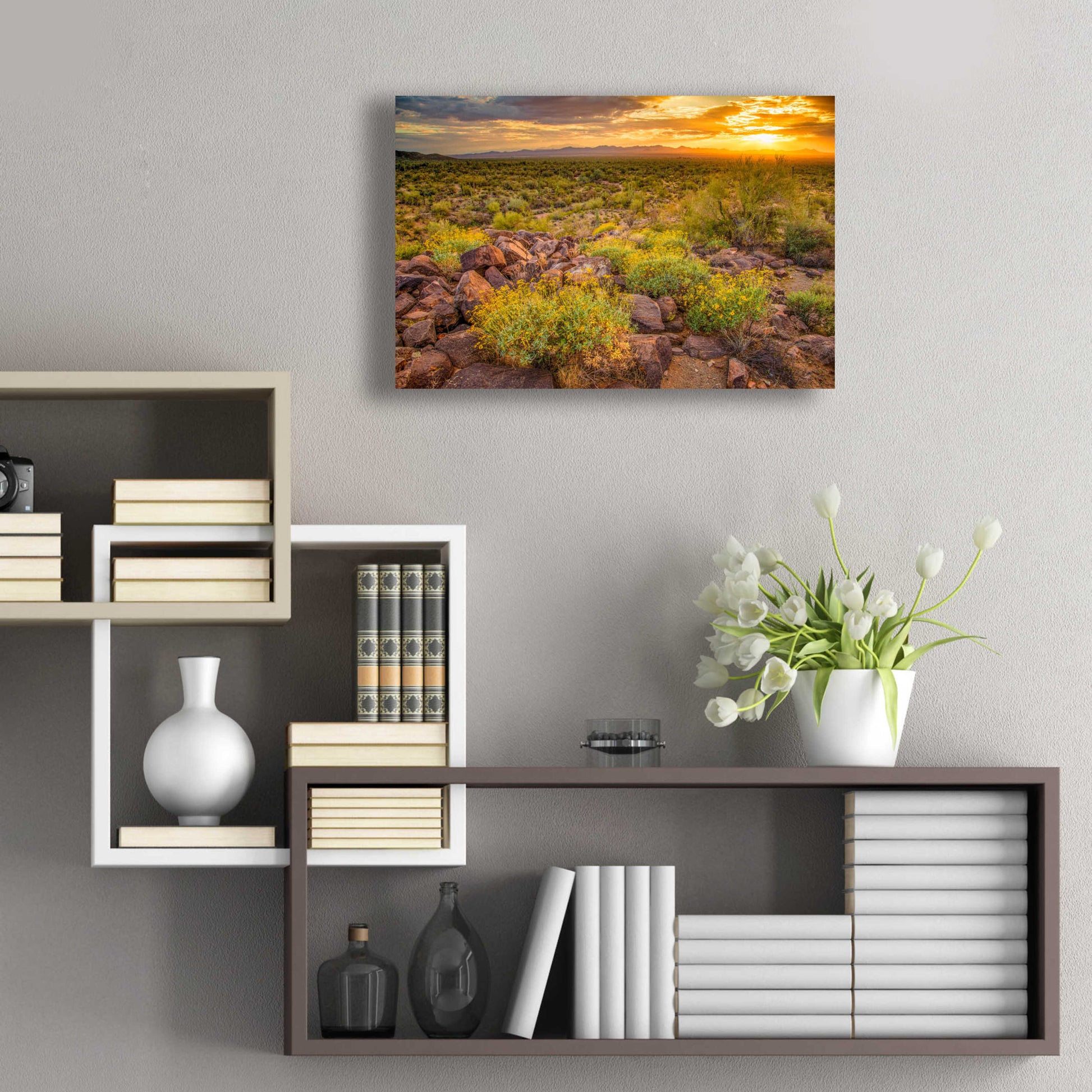 Epic Art 'Brittlebush Sunset' by John Gavrilis, Acrylic Glass Wall Art,24x16