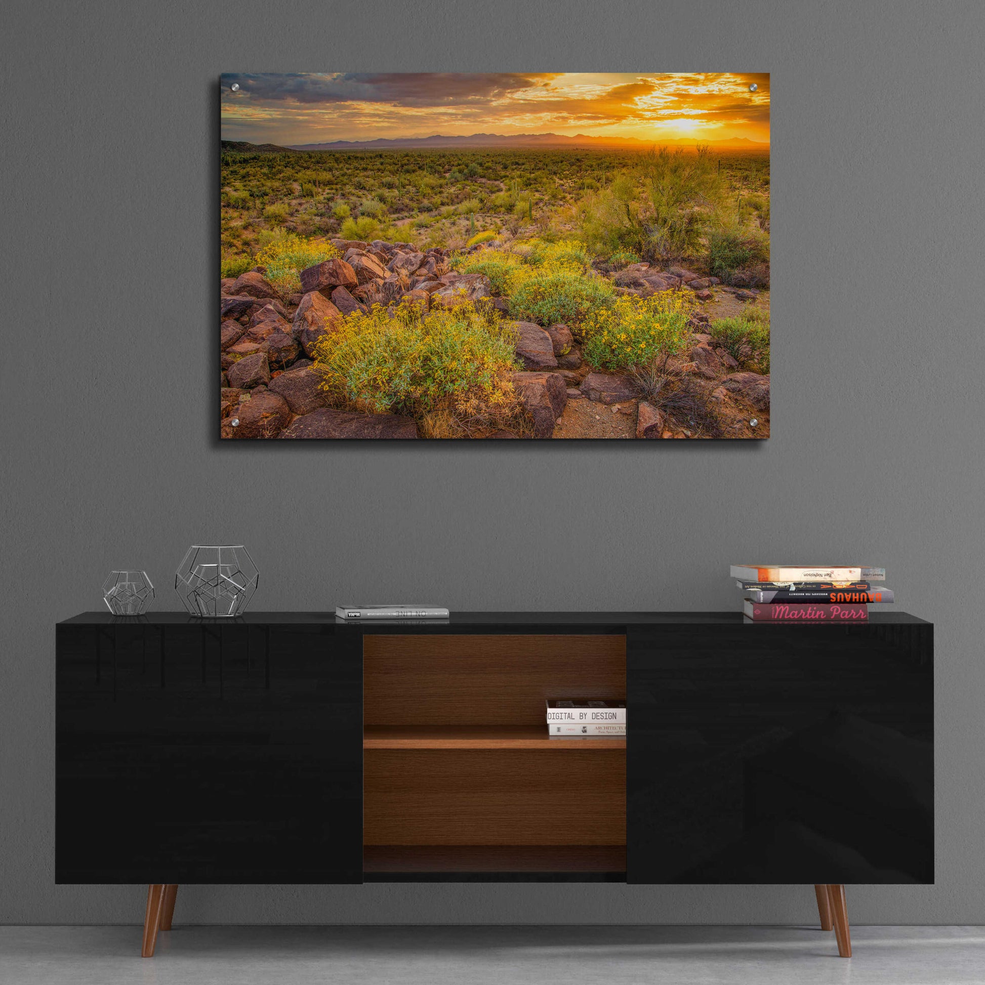 Epic Art 'Brittlebush Sunset' by John Gavrilis, Acrylic Glass Wall Art,36x24