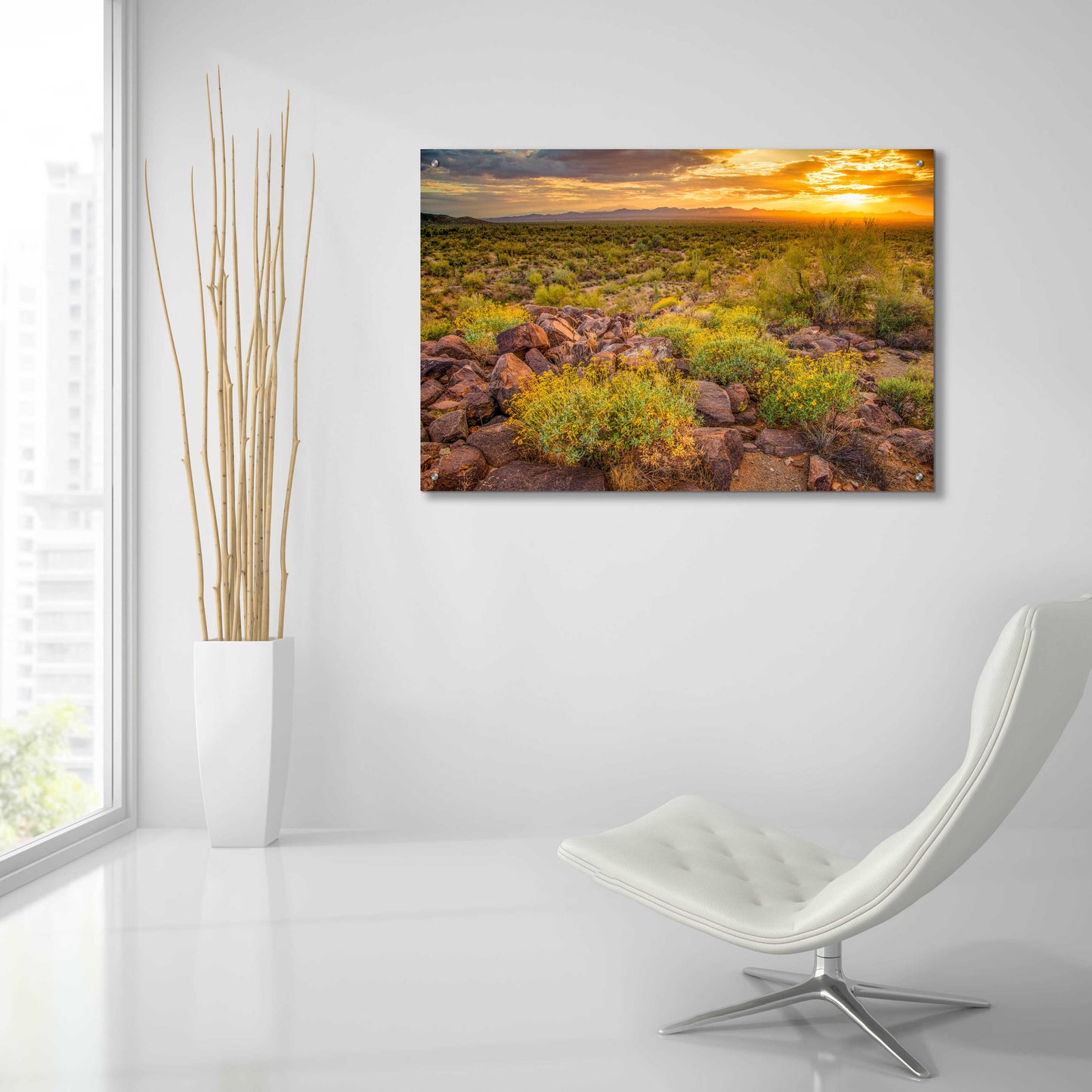 Epic Art 'Brittlebush Sunset' by John Gavrilis, Acrylic Glass Wall Art,36x24