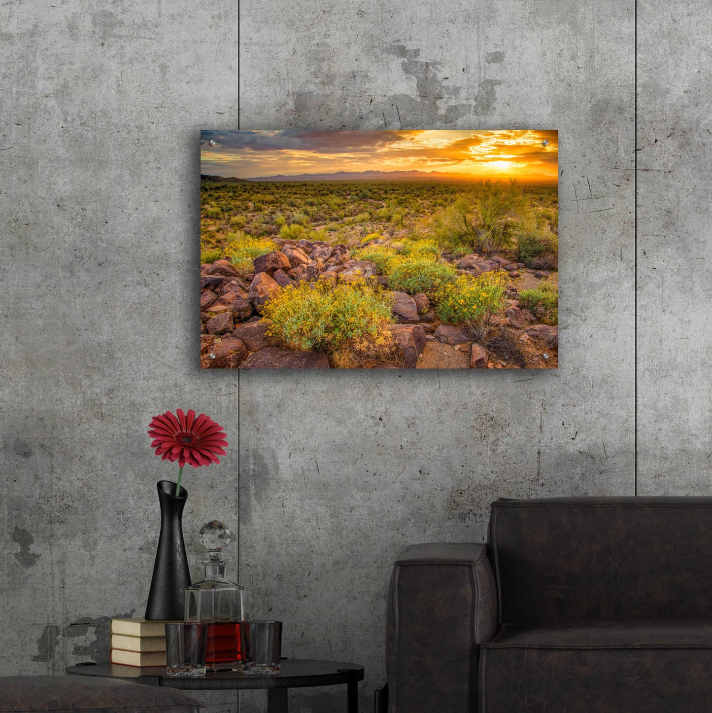 Epic Art 'Brittlebush Sunset' by John Gavrilis, Acrylic Glass Wall Art,36x24