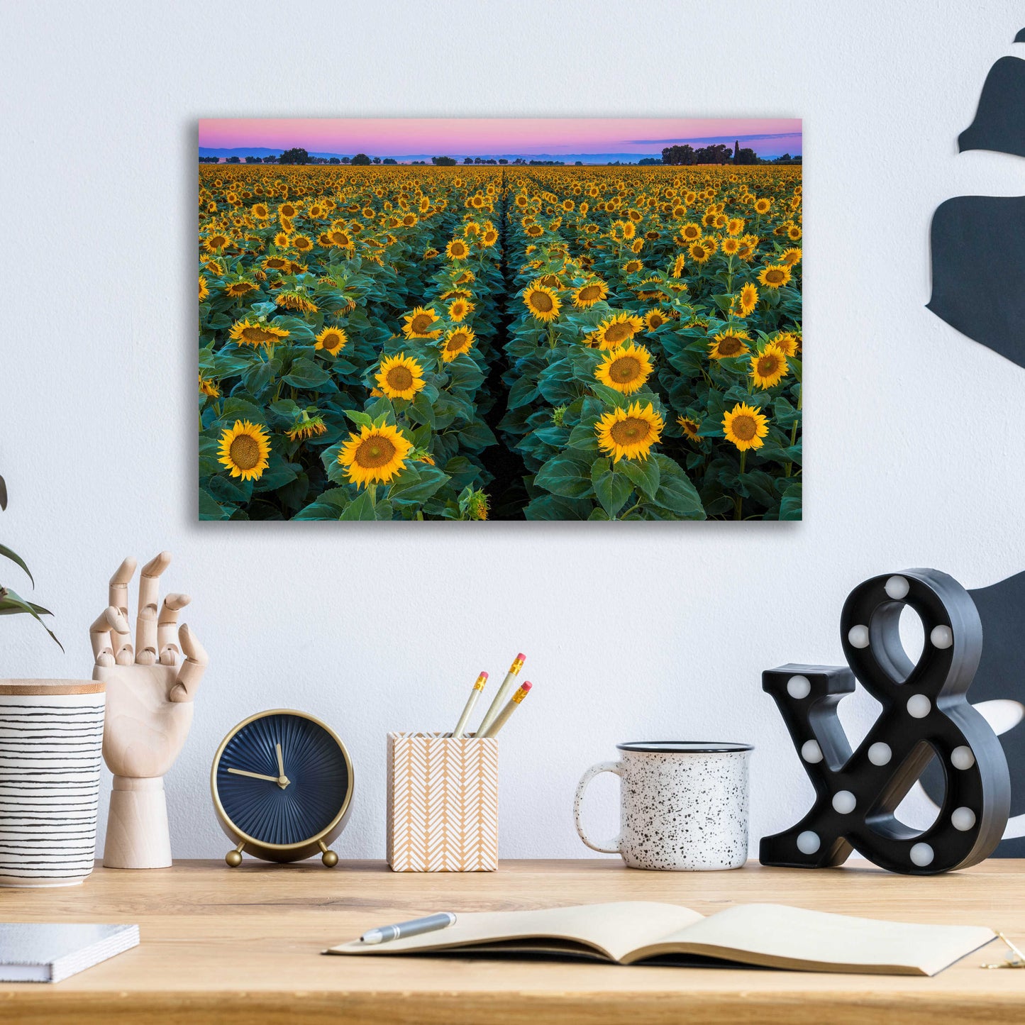 Epic Art 'Dawn Sunflowers' by John Gavrilis, Acrylic Glass Wall Art,16x12