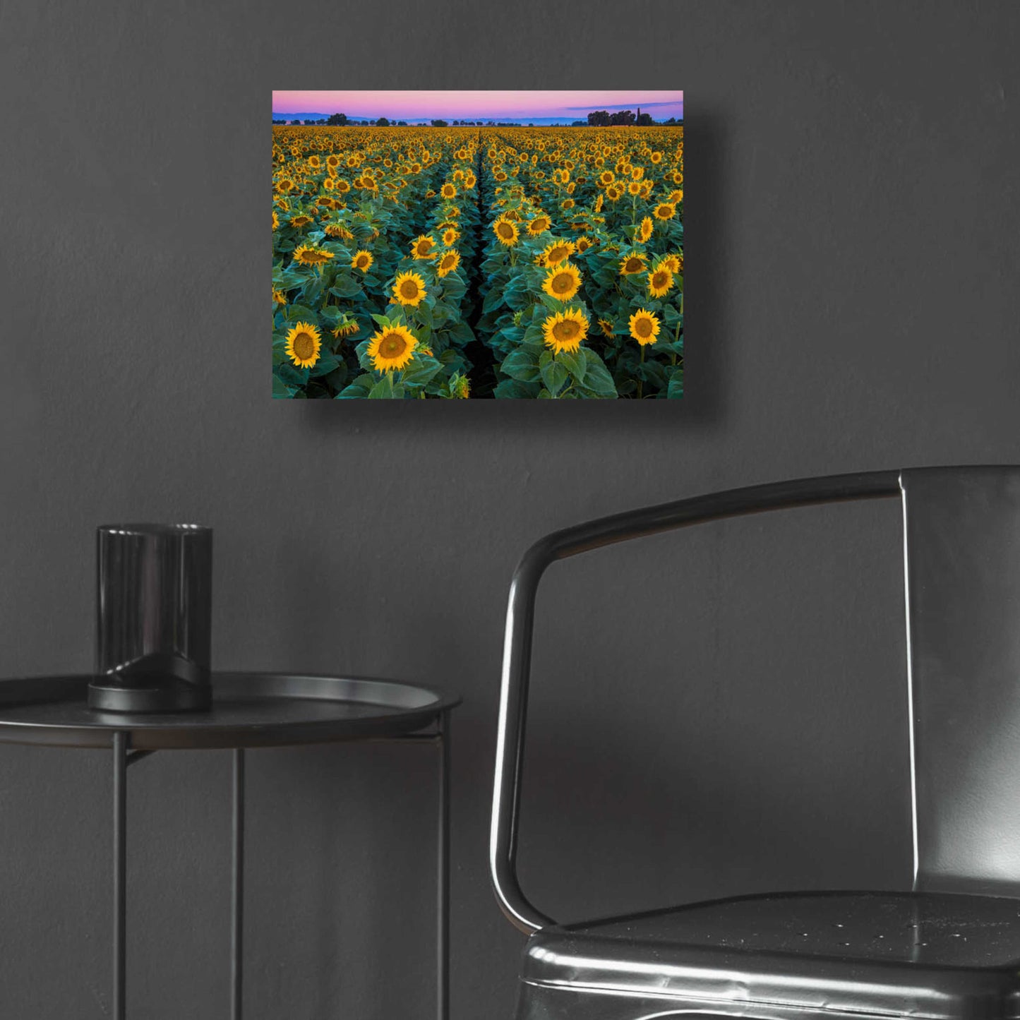 Epic Art 'Dawn Sunflowers' by John Gavrilis, Acrylic Glass Wall Art,16x12