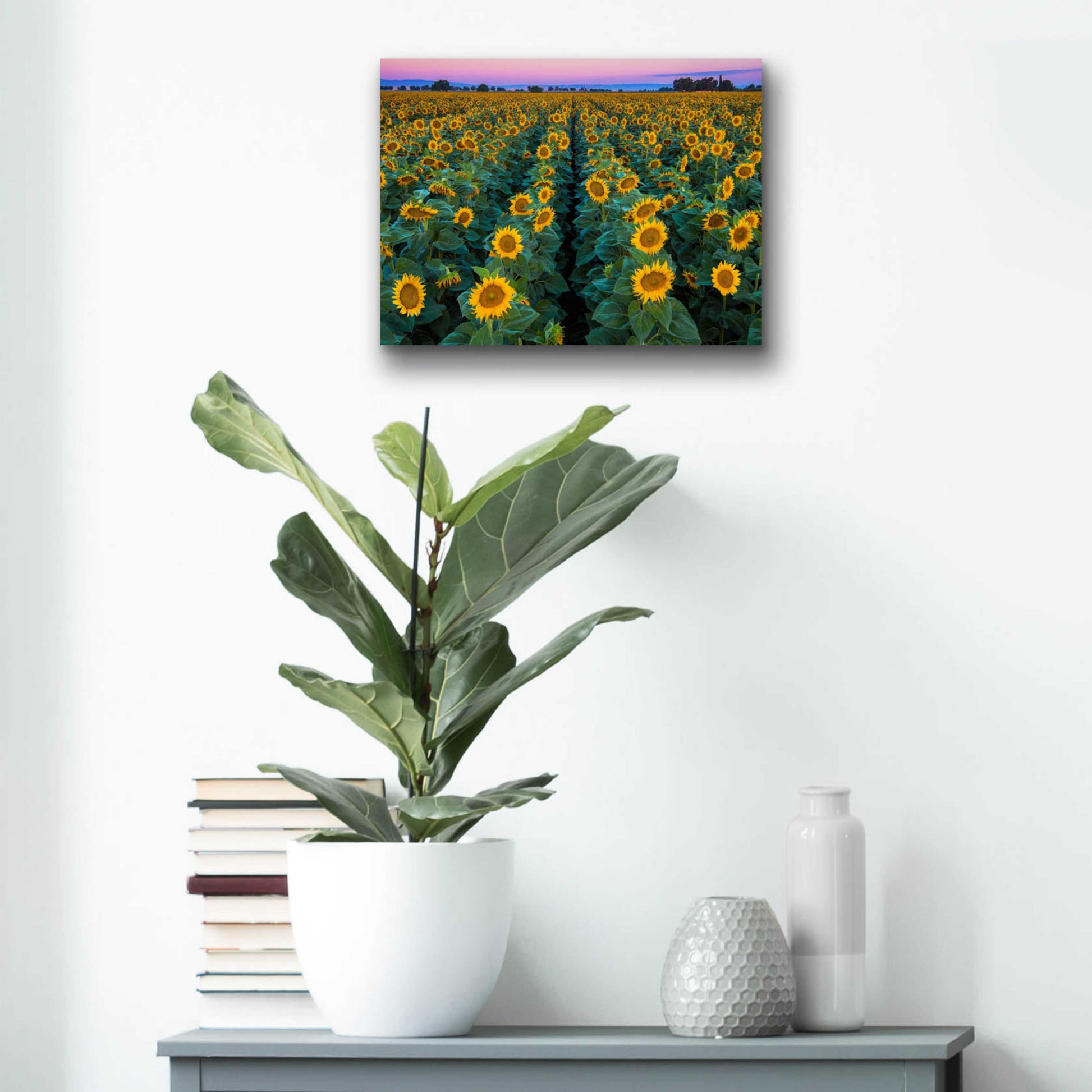 Epic Art 'Dawn Sunflowers' by John Gavrilis, Acrylic Glass Wall Art,16x12