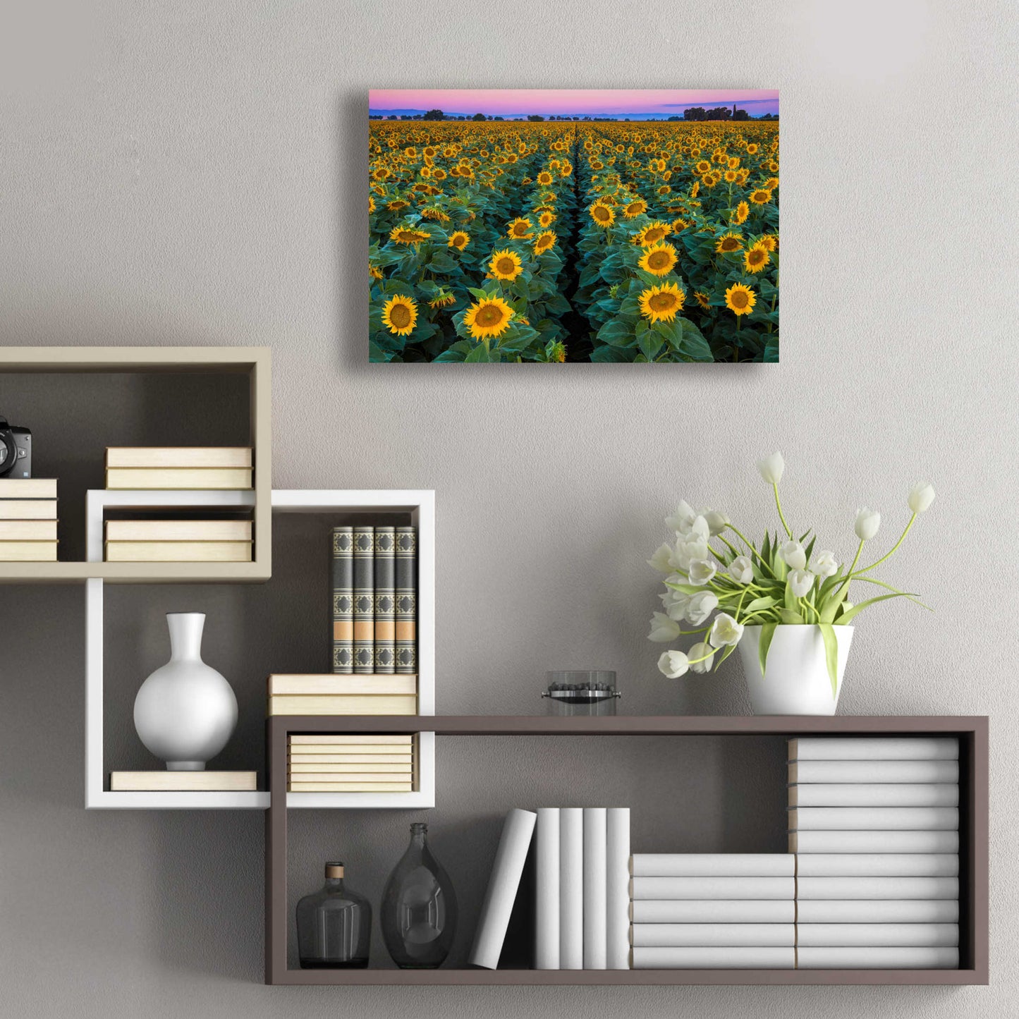 Epic Art 'Dawn Sunflowers' by John Gavrilis, Acrylic Glass Wall Art,24x16