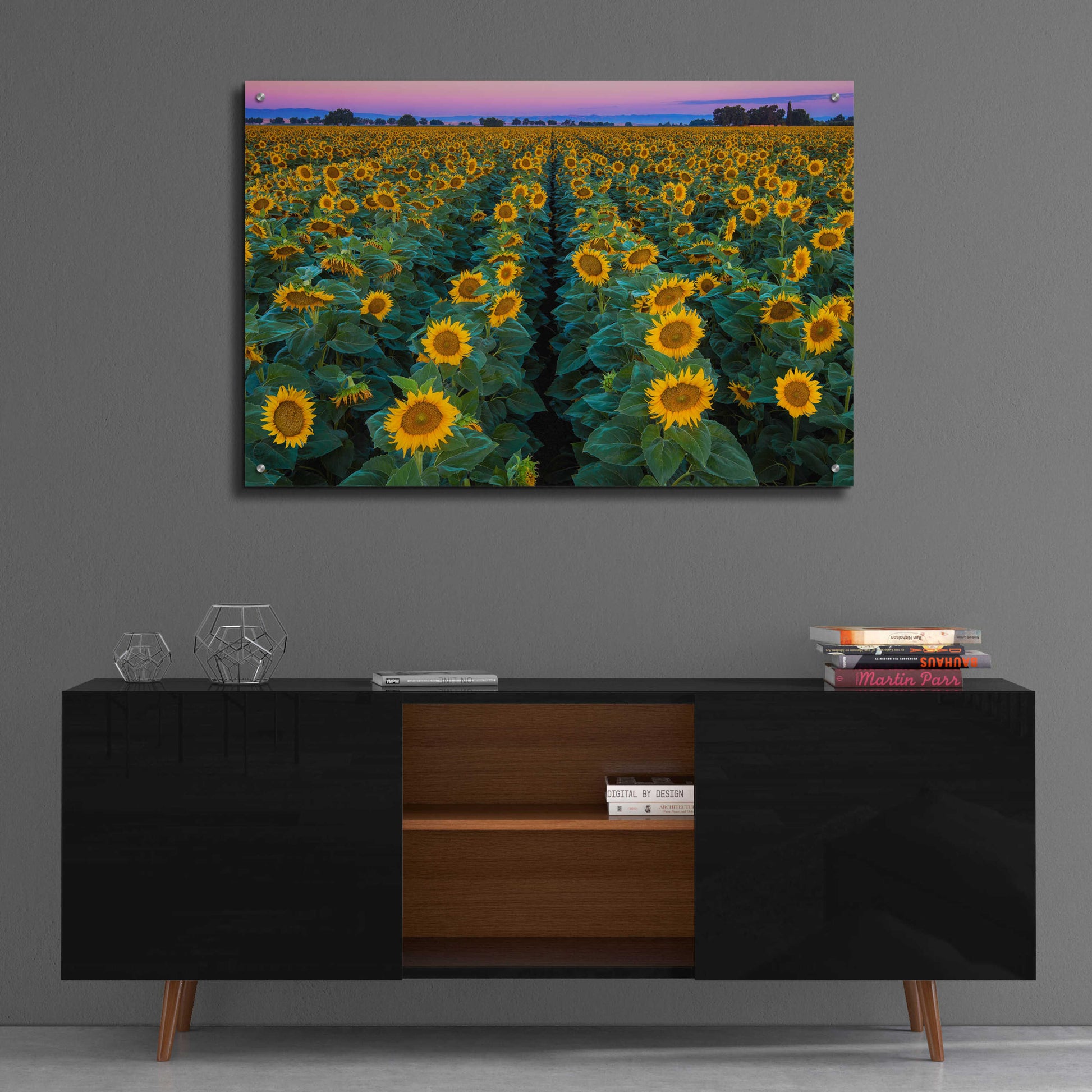 Epic Art 'Dawn Sunflowers' by John Gavrilis, Acrylic Glass Wall Art,36x24